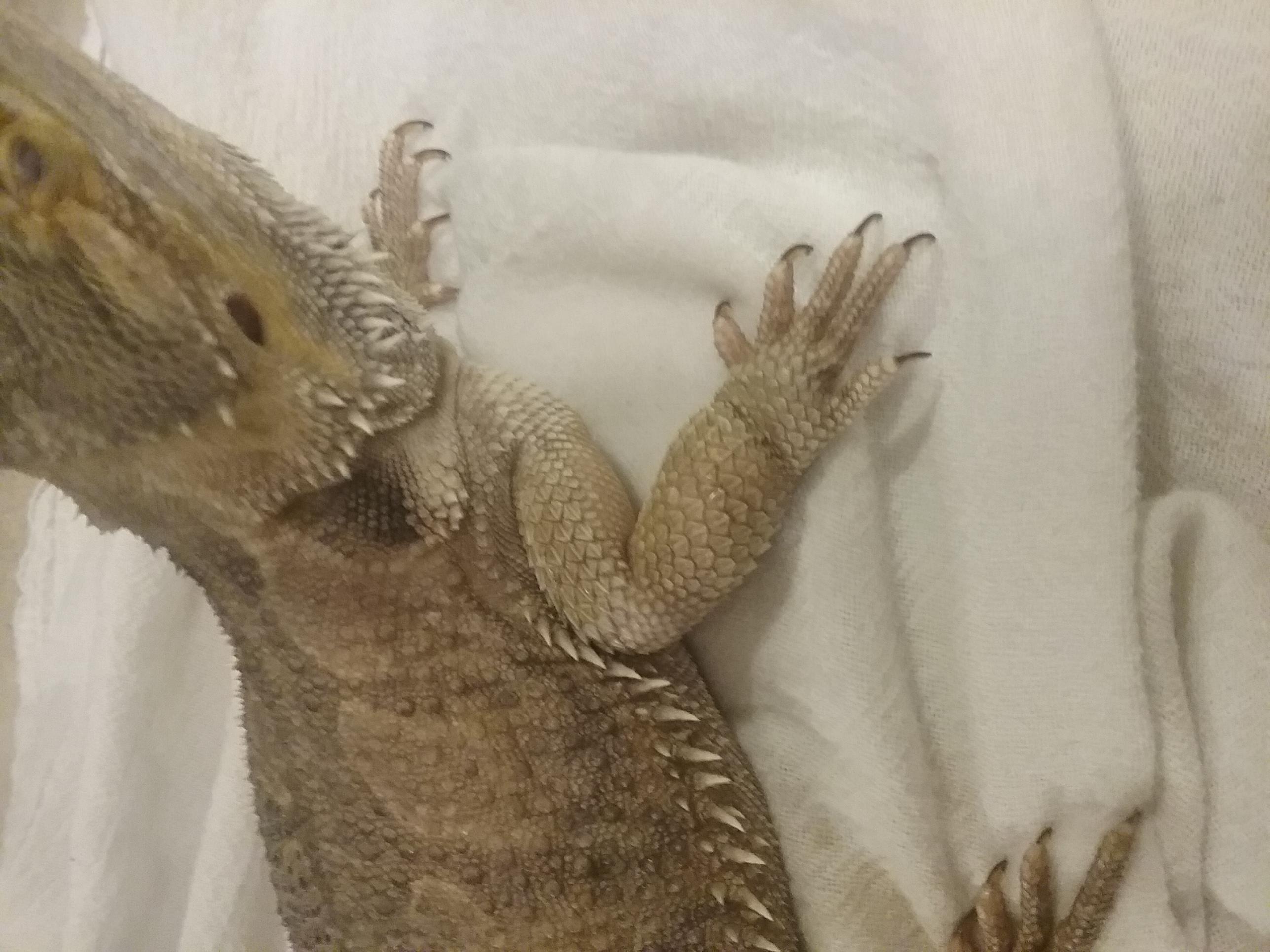 Question details sensitive content