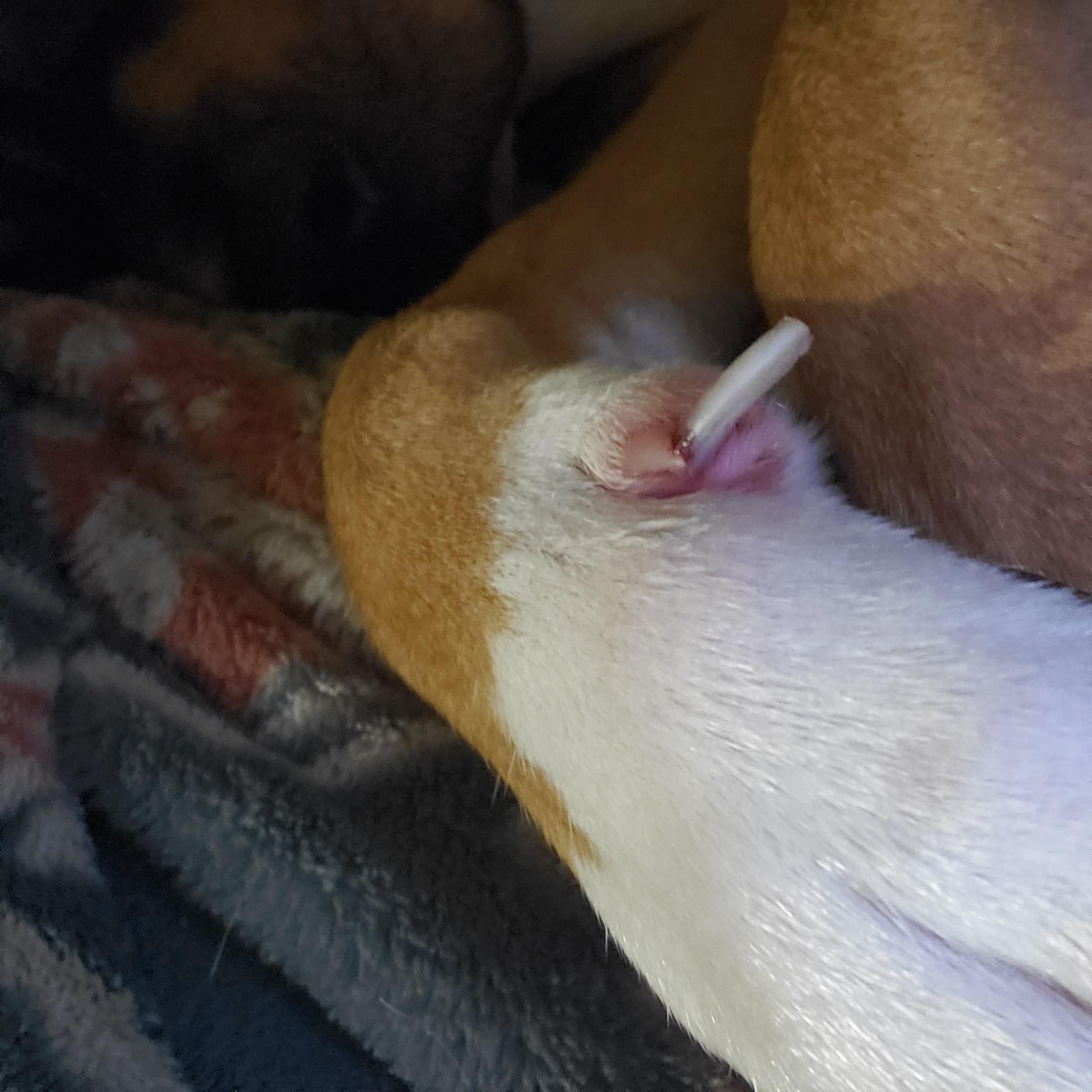 Question details sensitive content