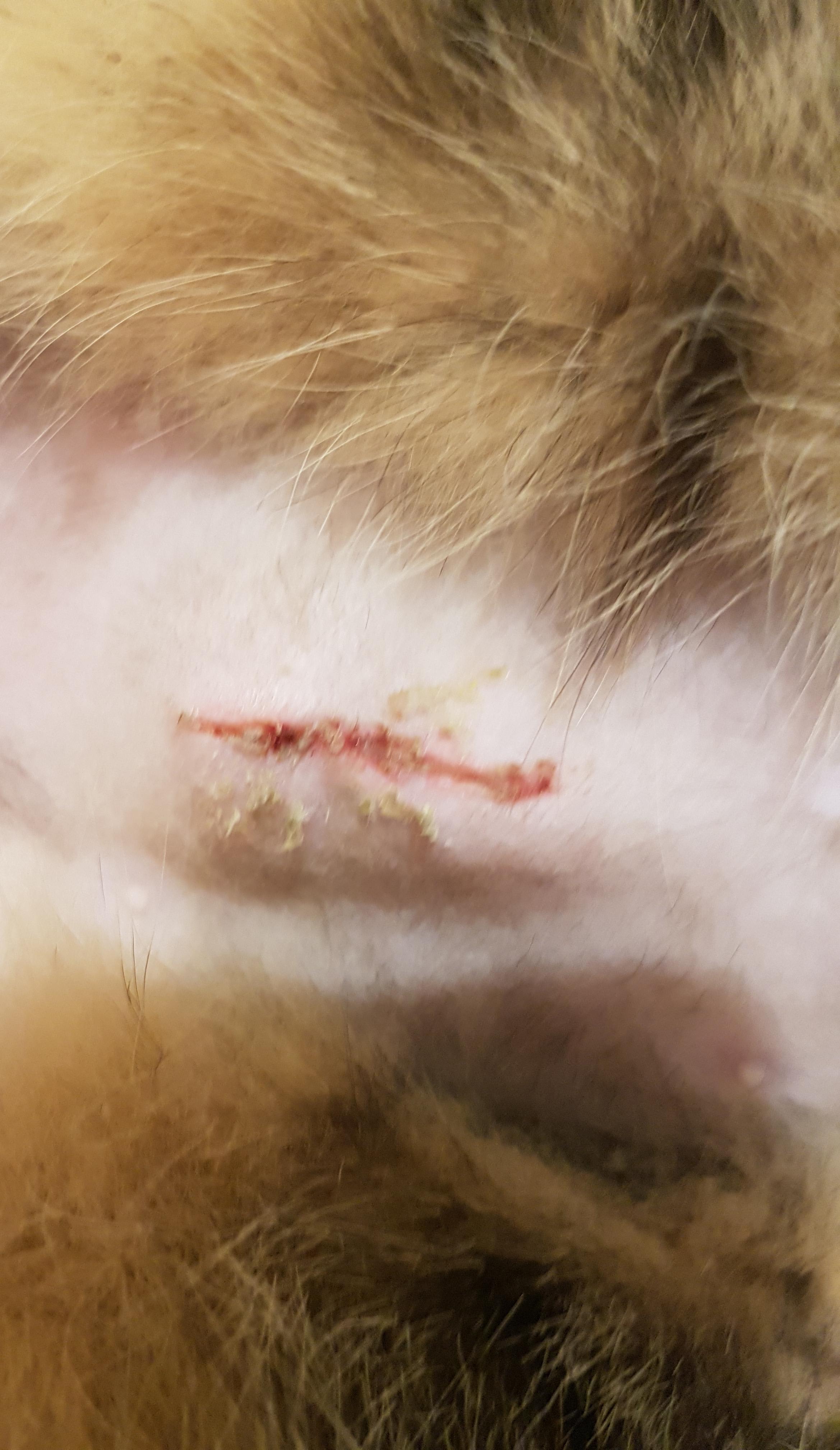 Question details sensitive content