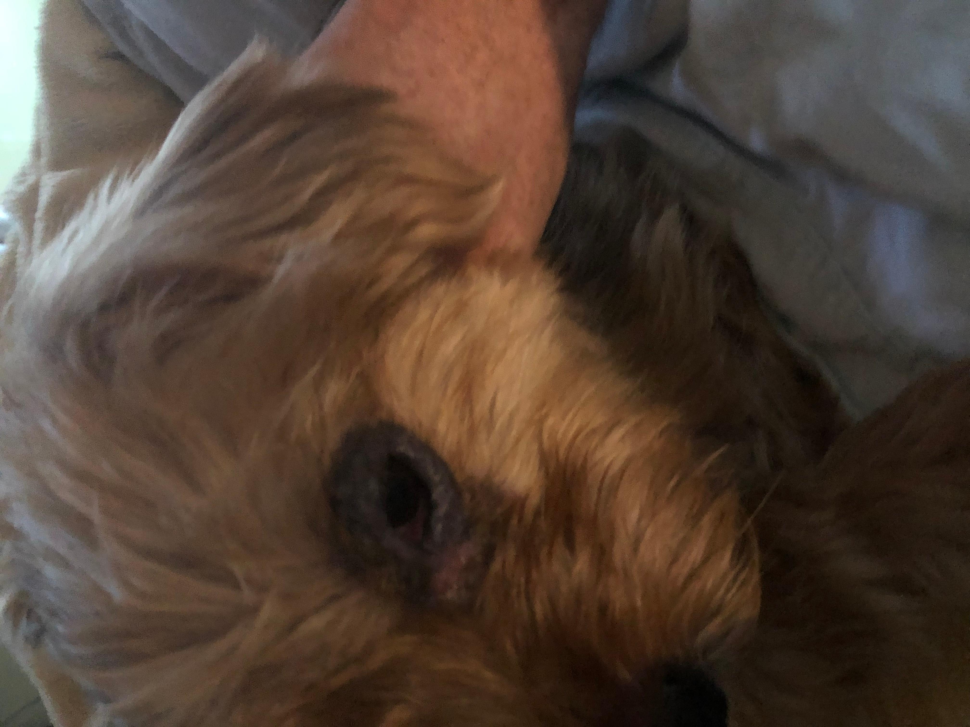 Question details sensitive content