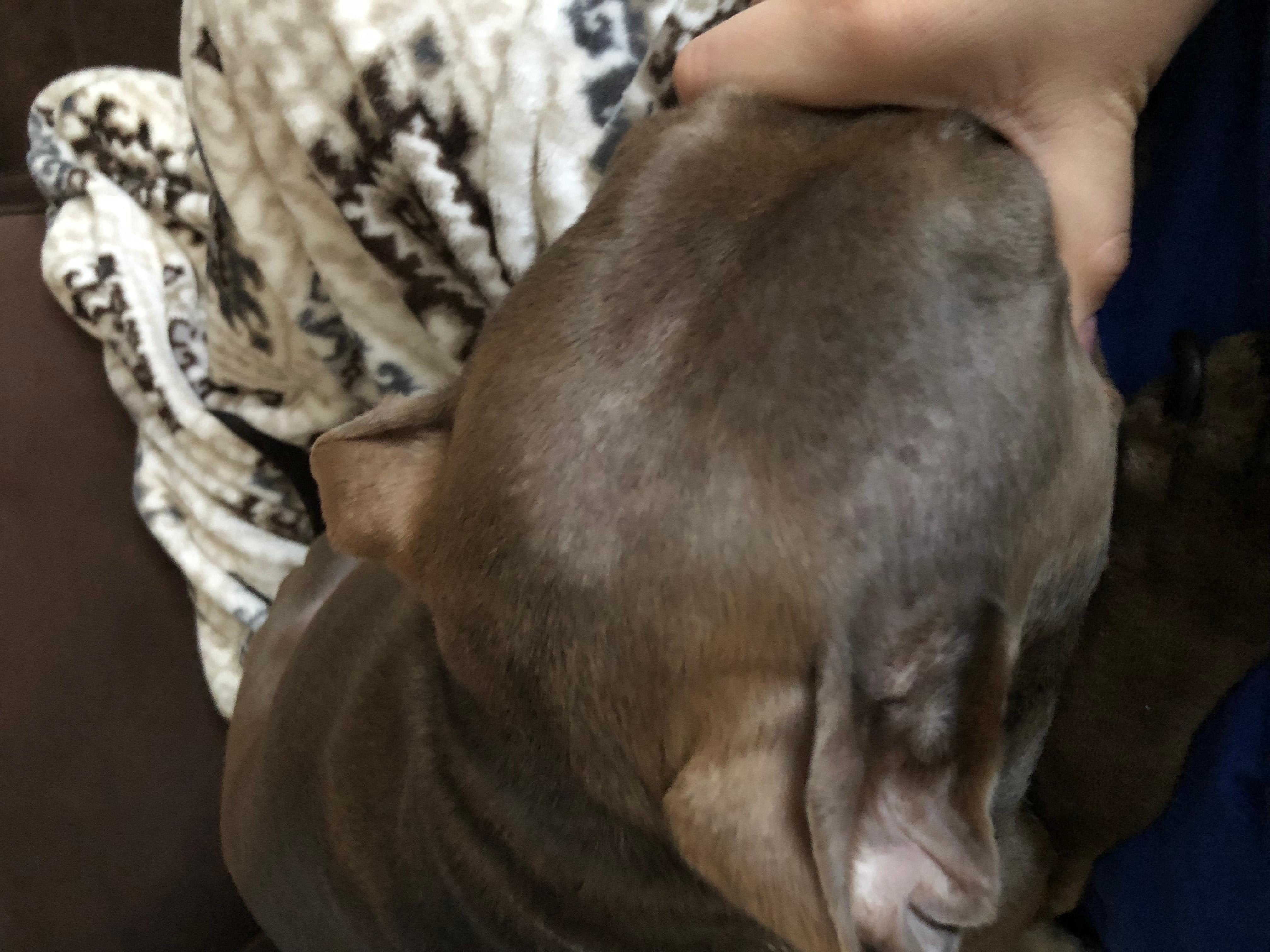 Question details sensitive content