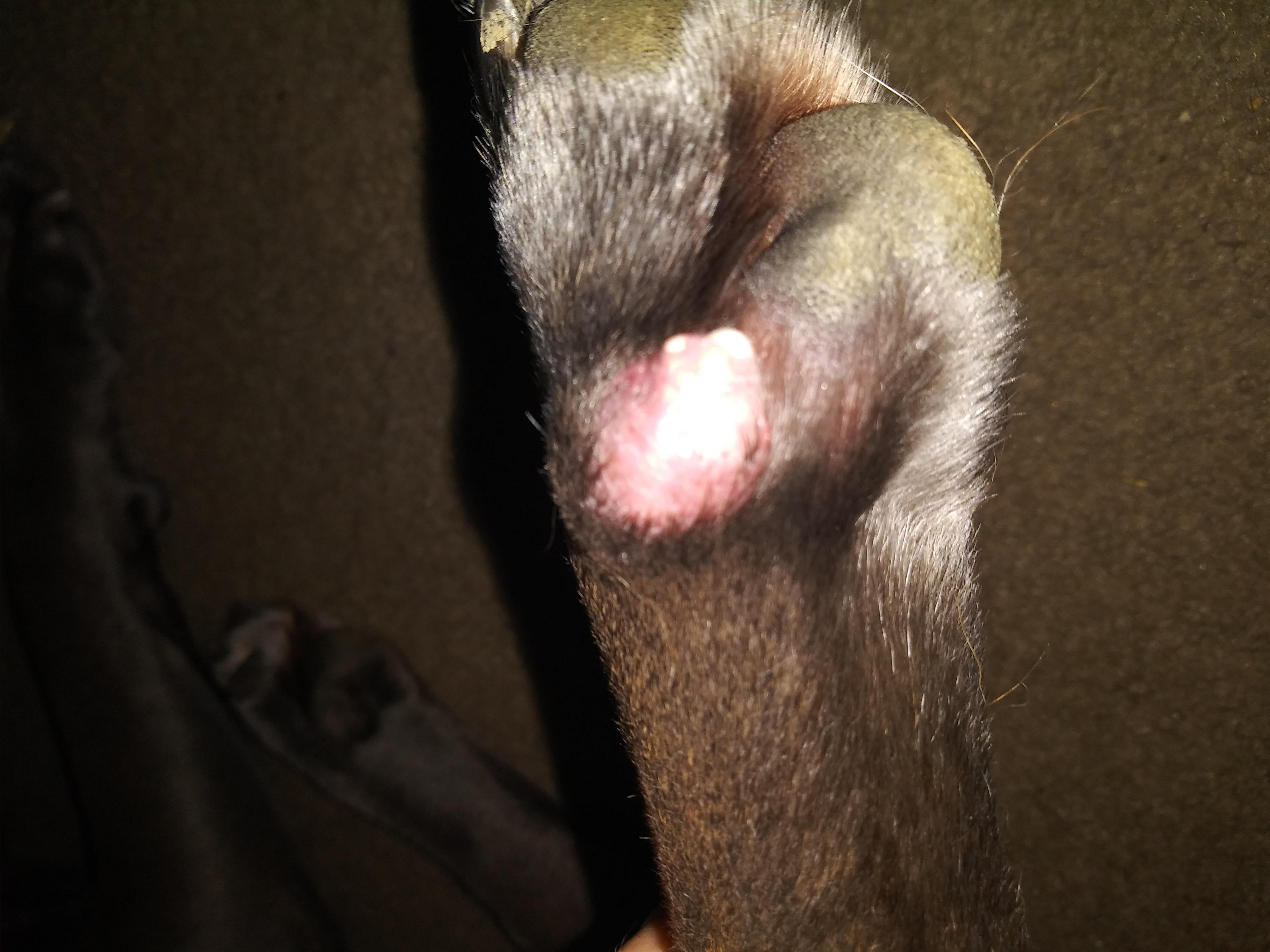 Question details sensitive content