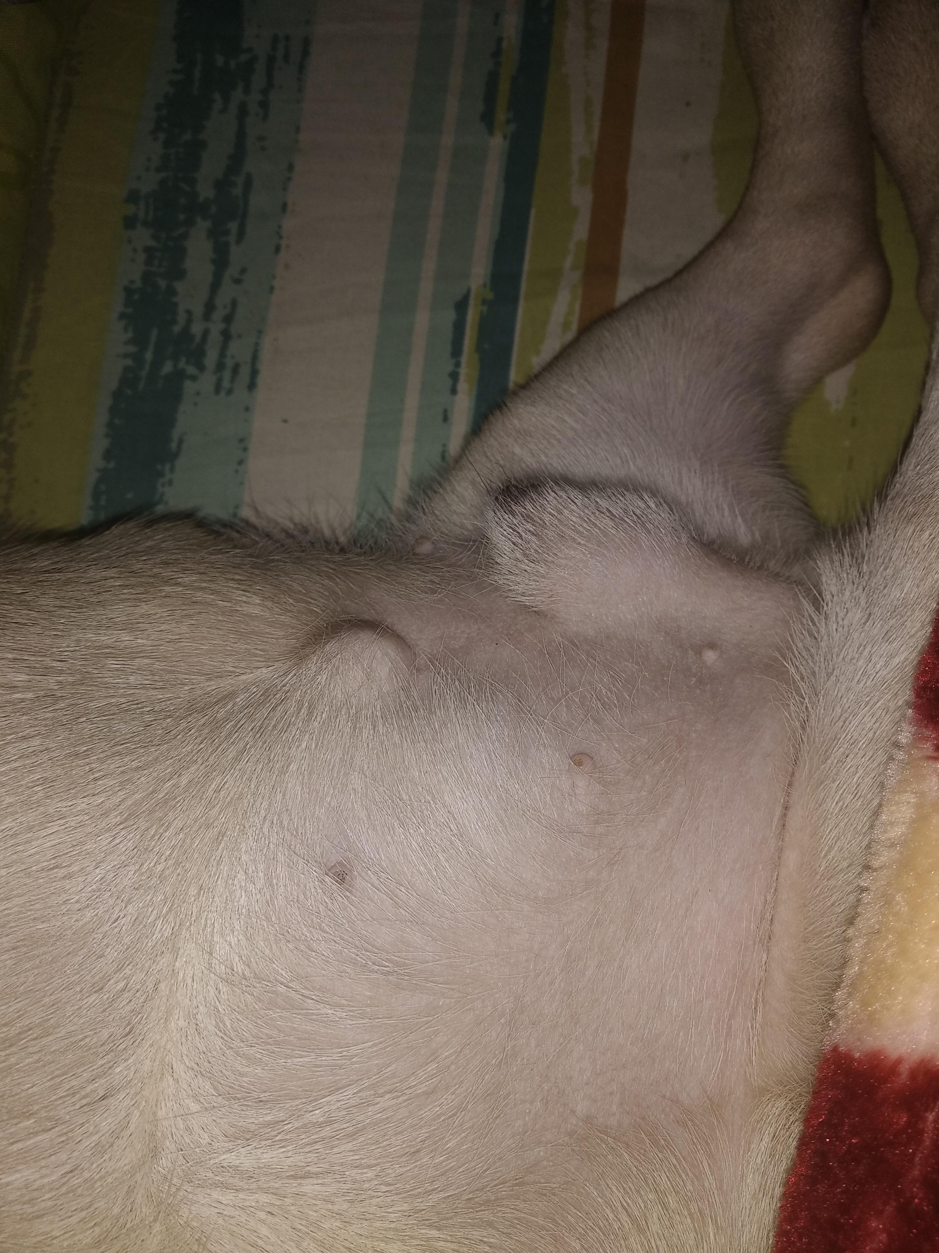 Question details sensitive content