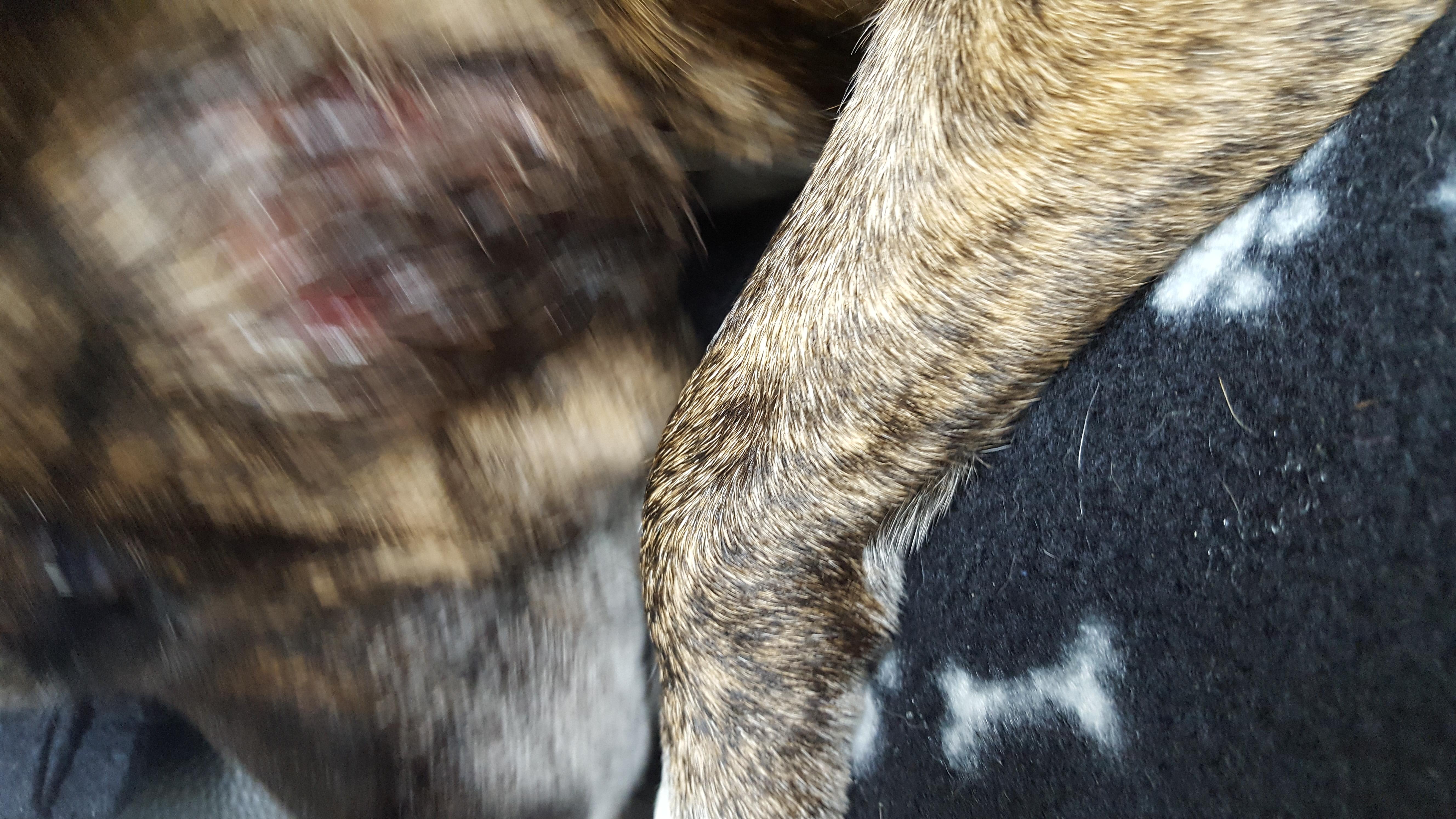 Question details sensitive content