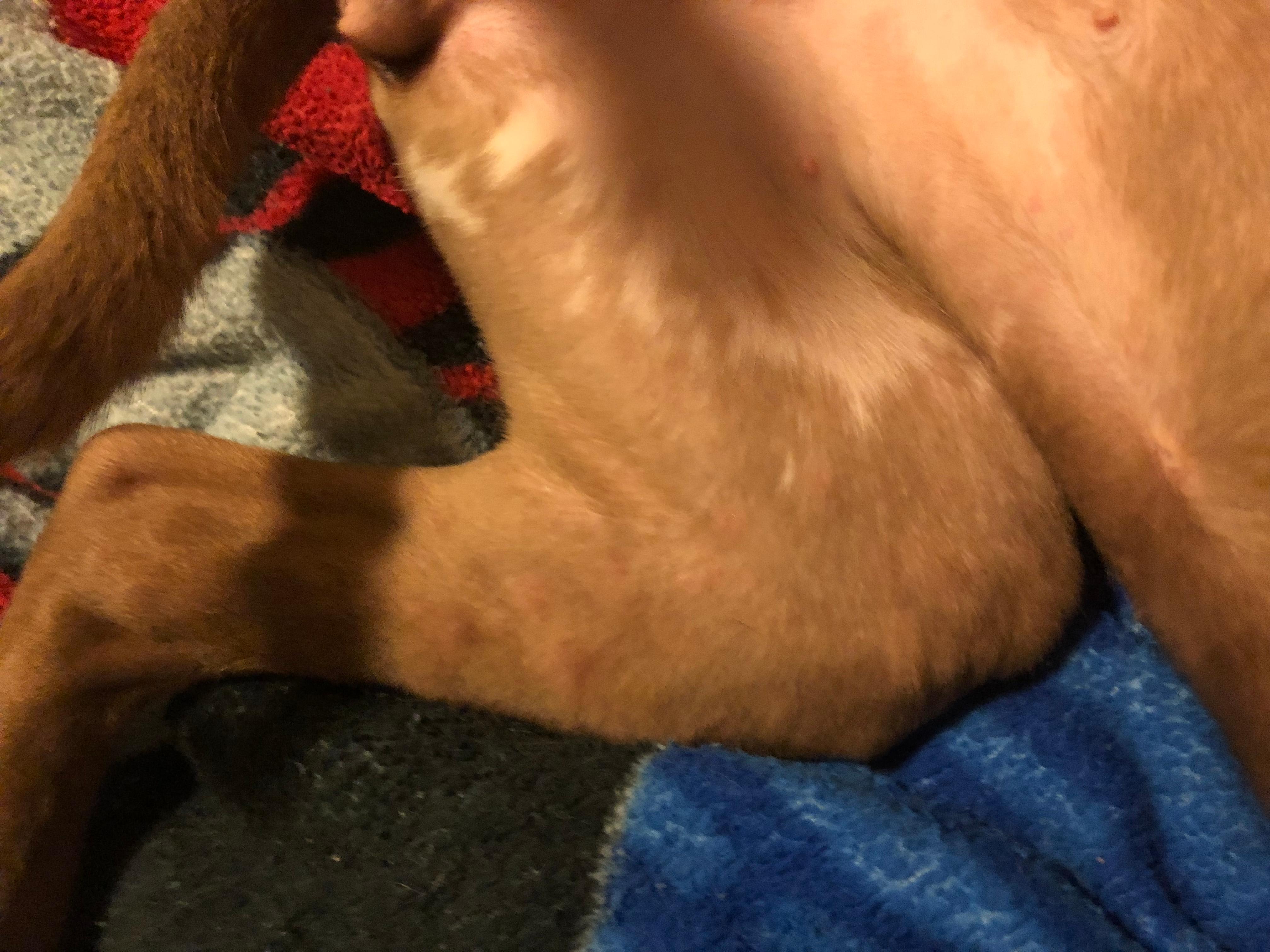 Question details sensitive content