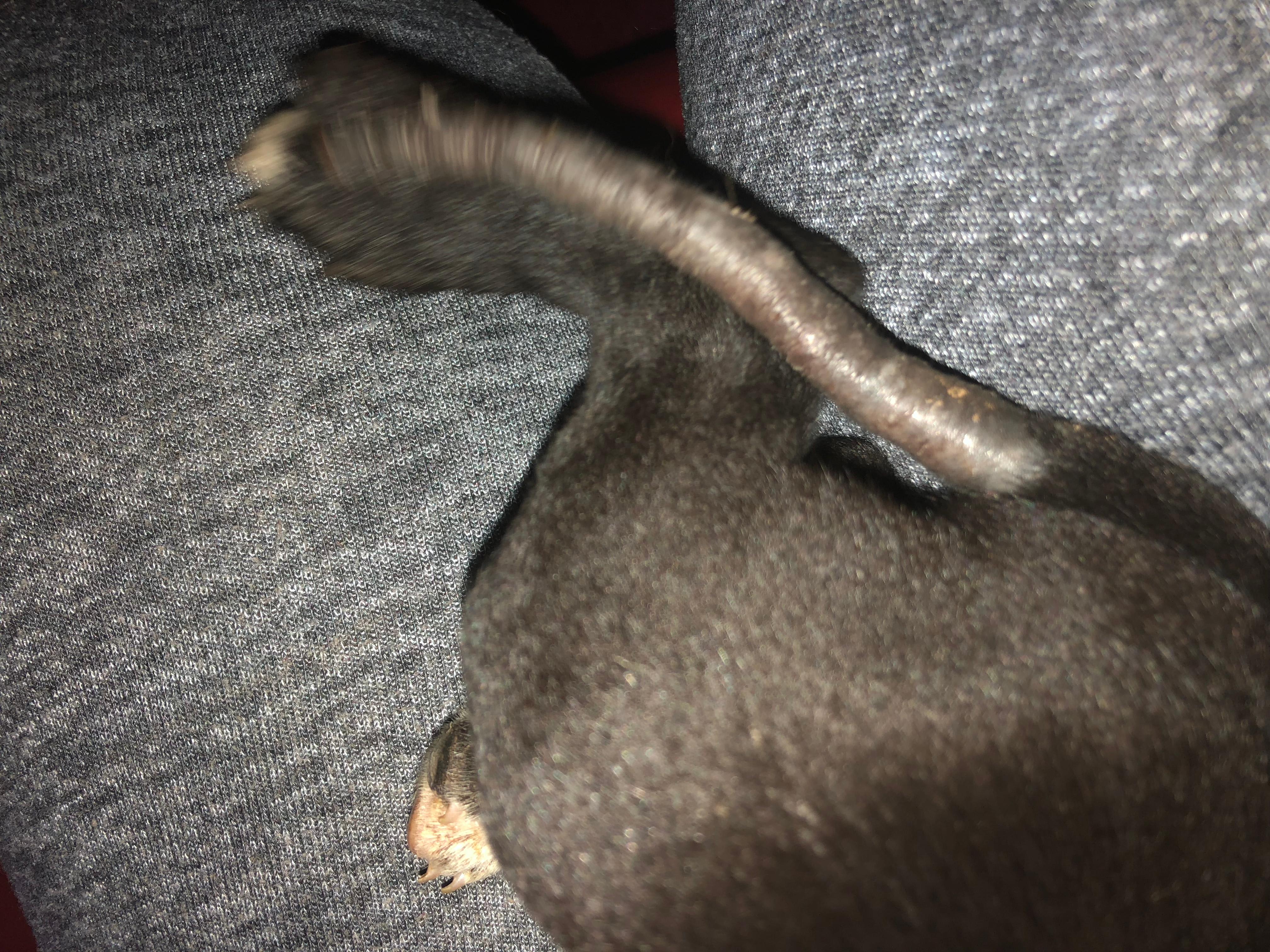 Question details sensitive content