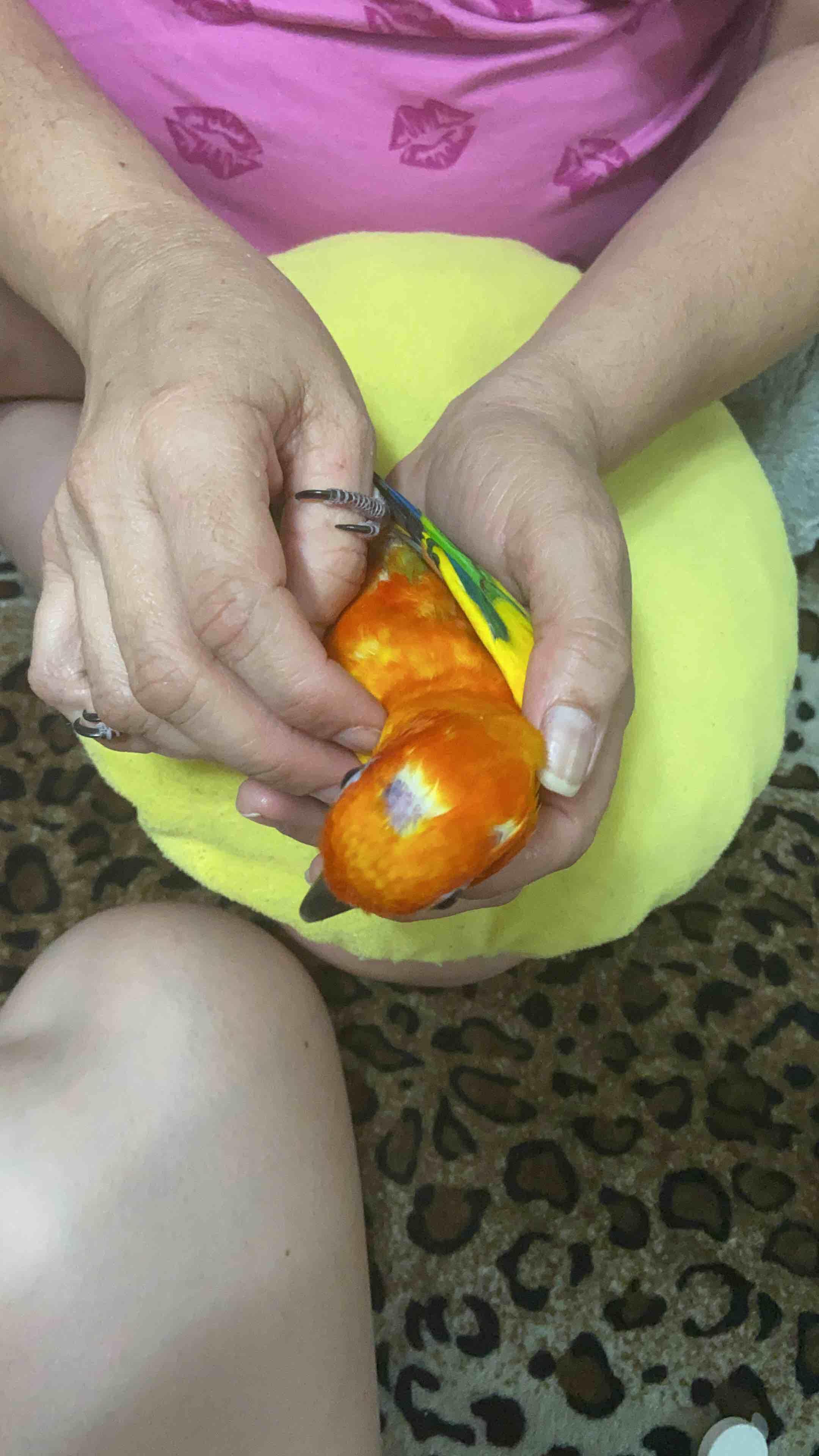 Question details sensitive content