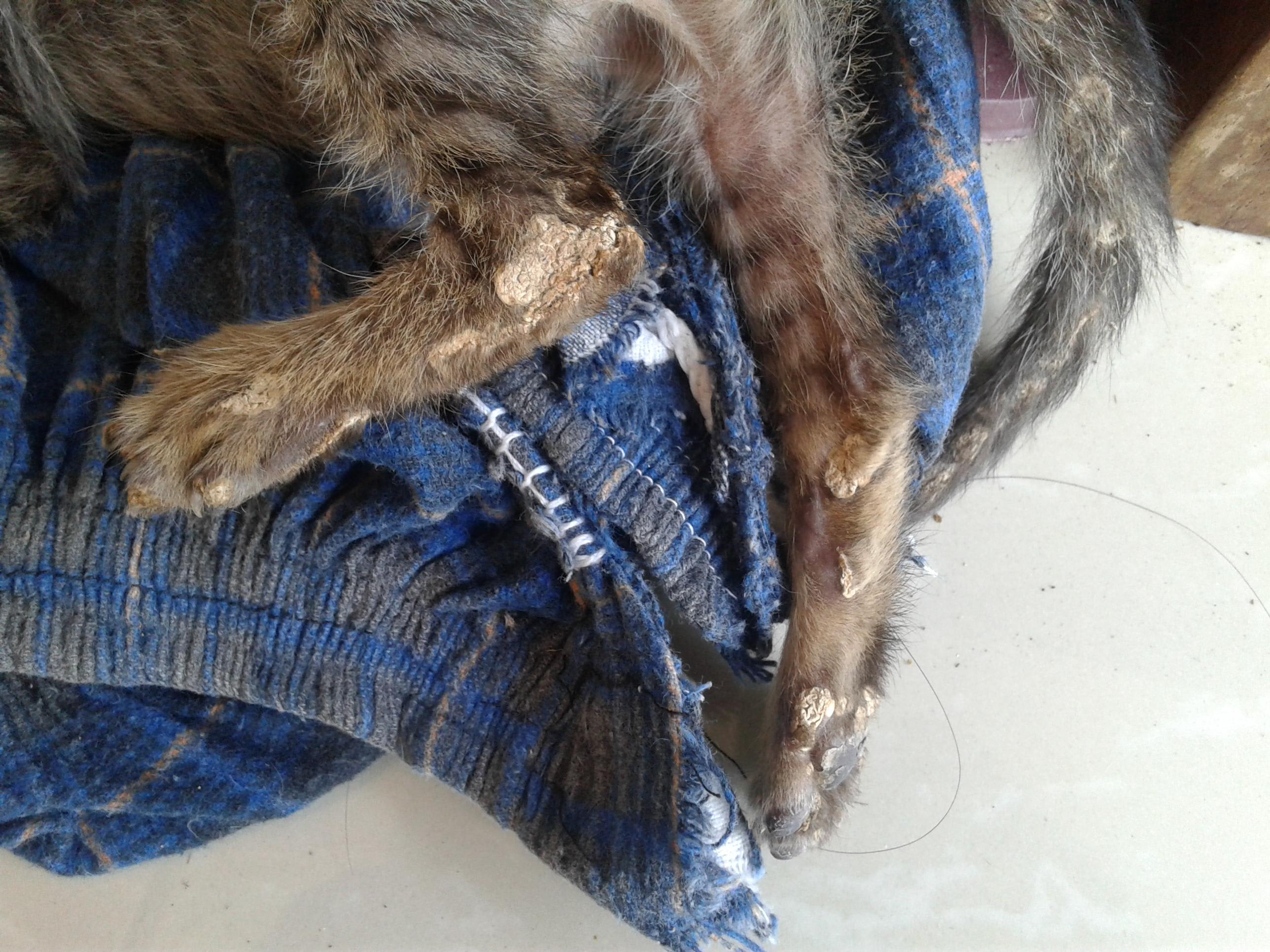 Question details sensitive content