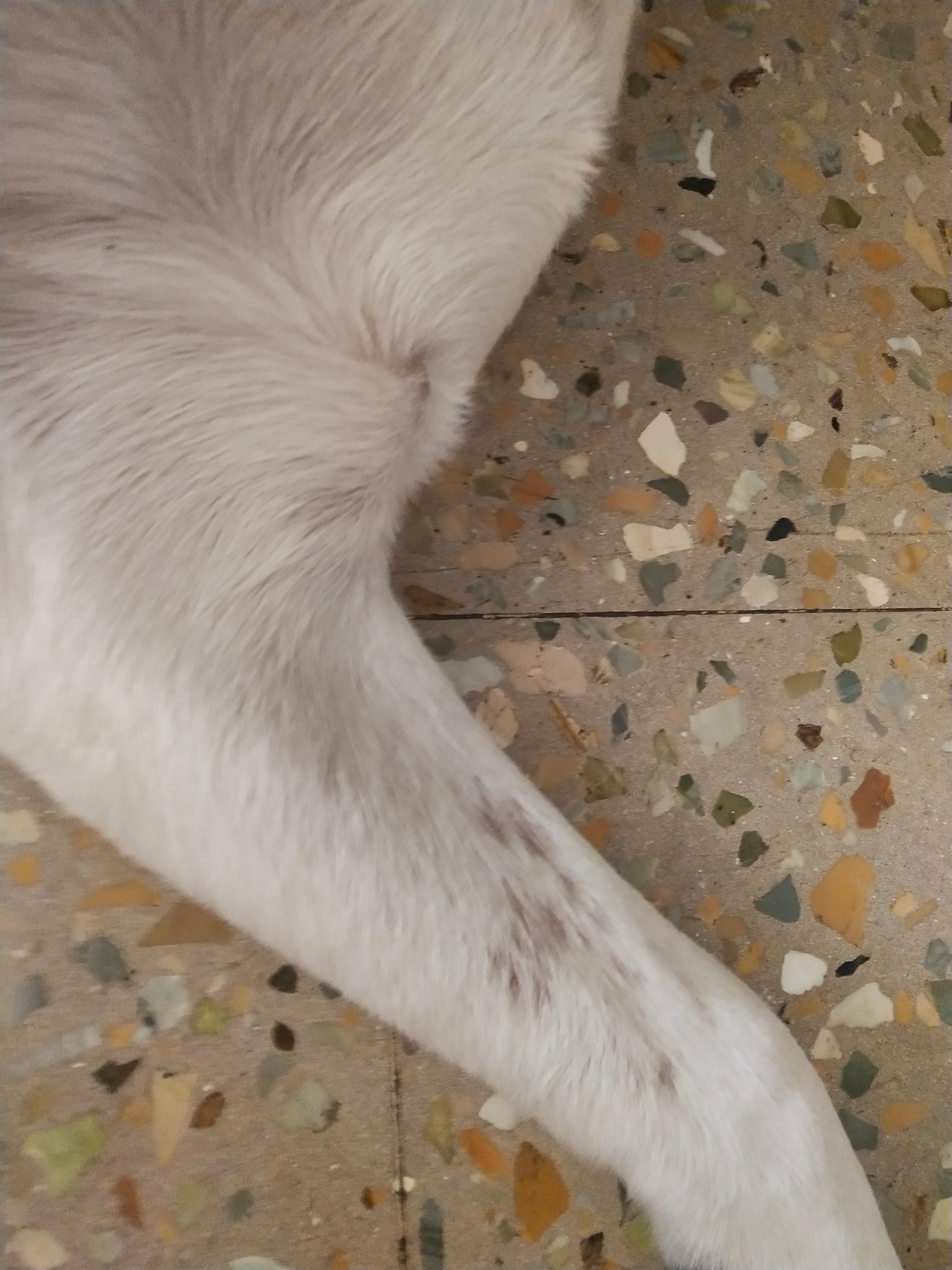 Question details sensitive content