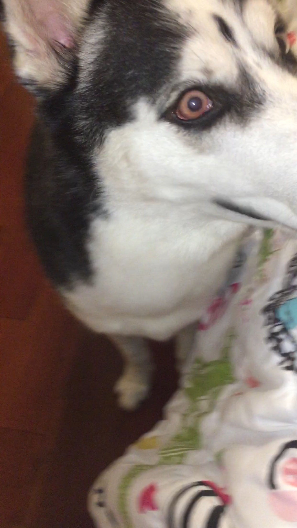 Question details sensitive content