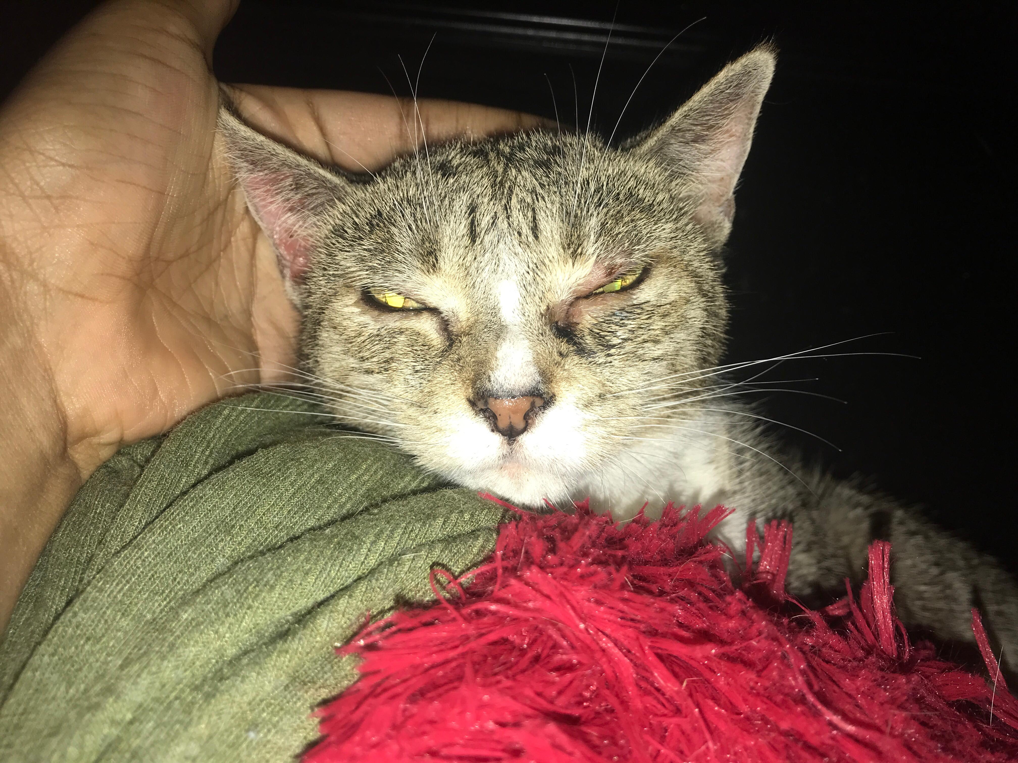 Question details sensitive content