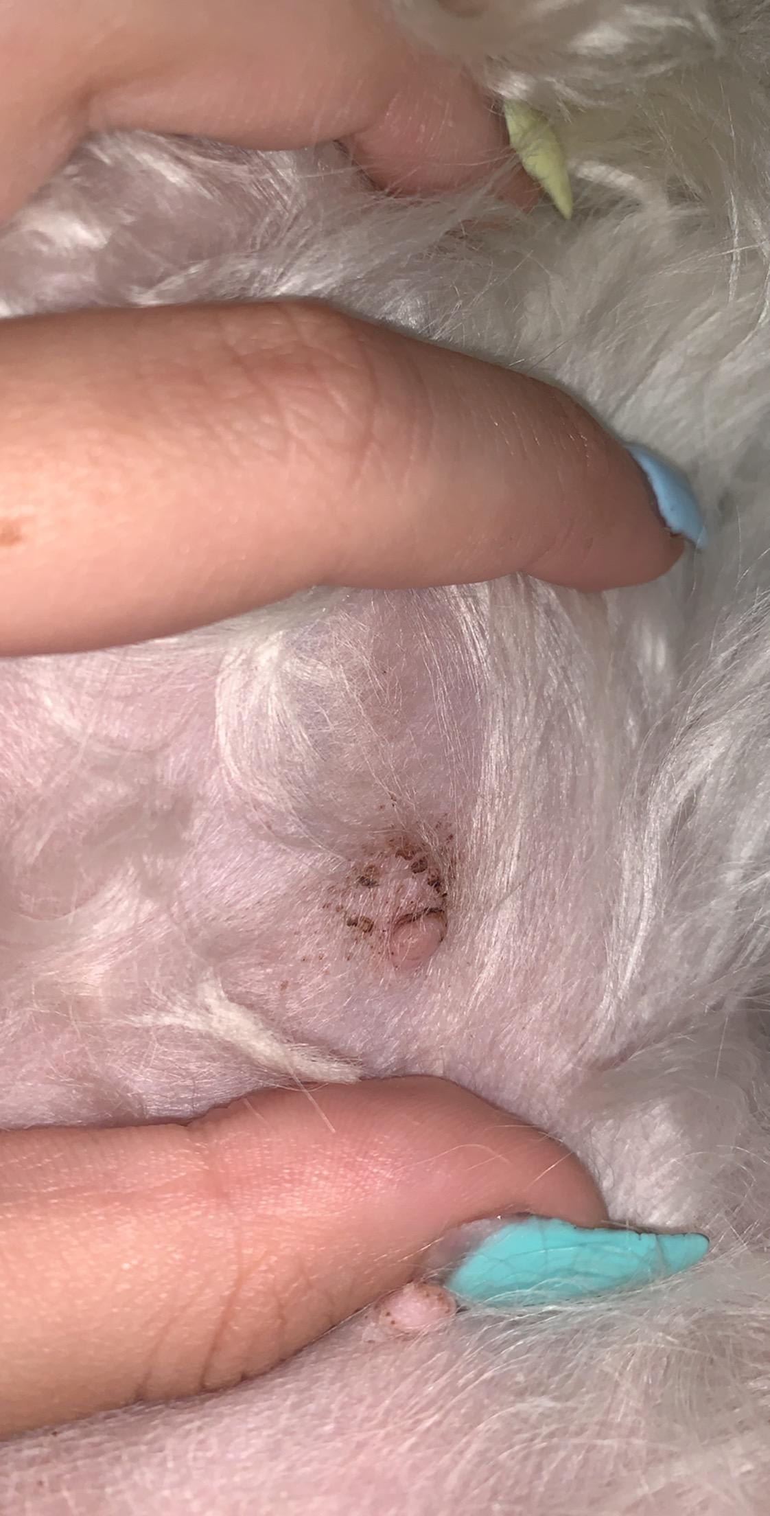 Question details sensitive content