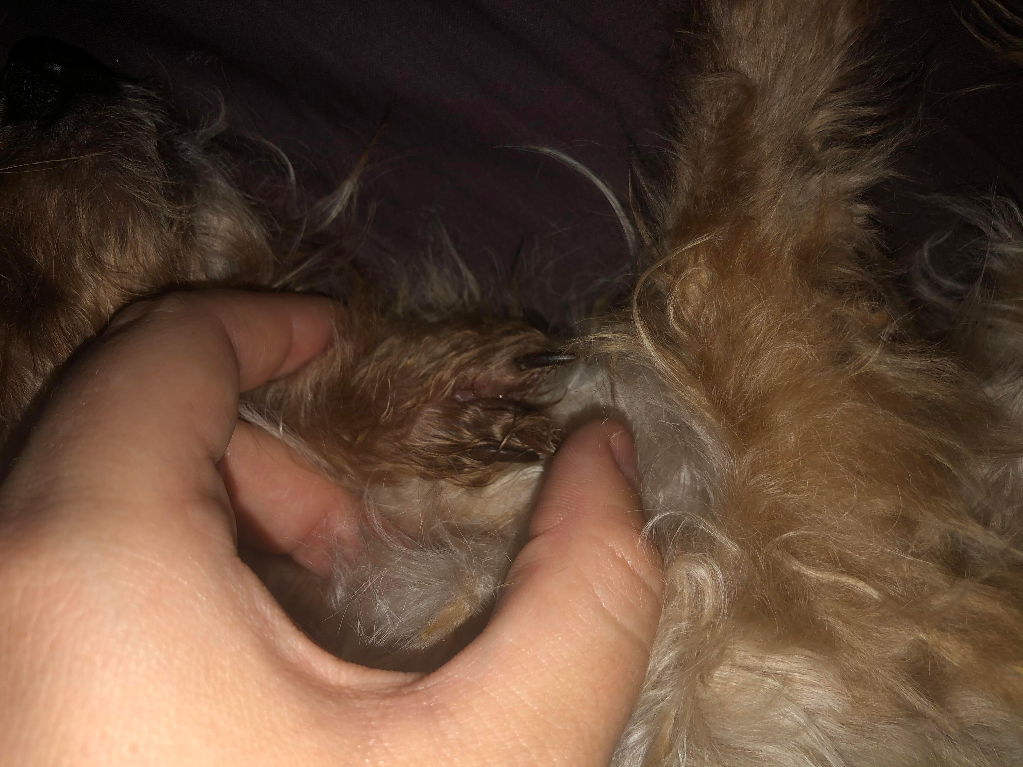 Question details sensitive content