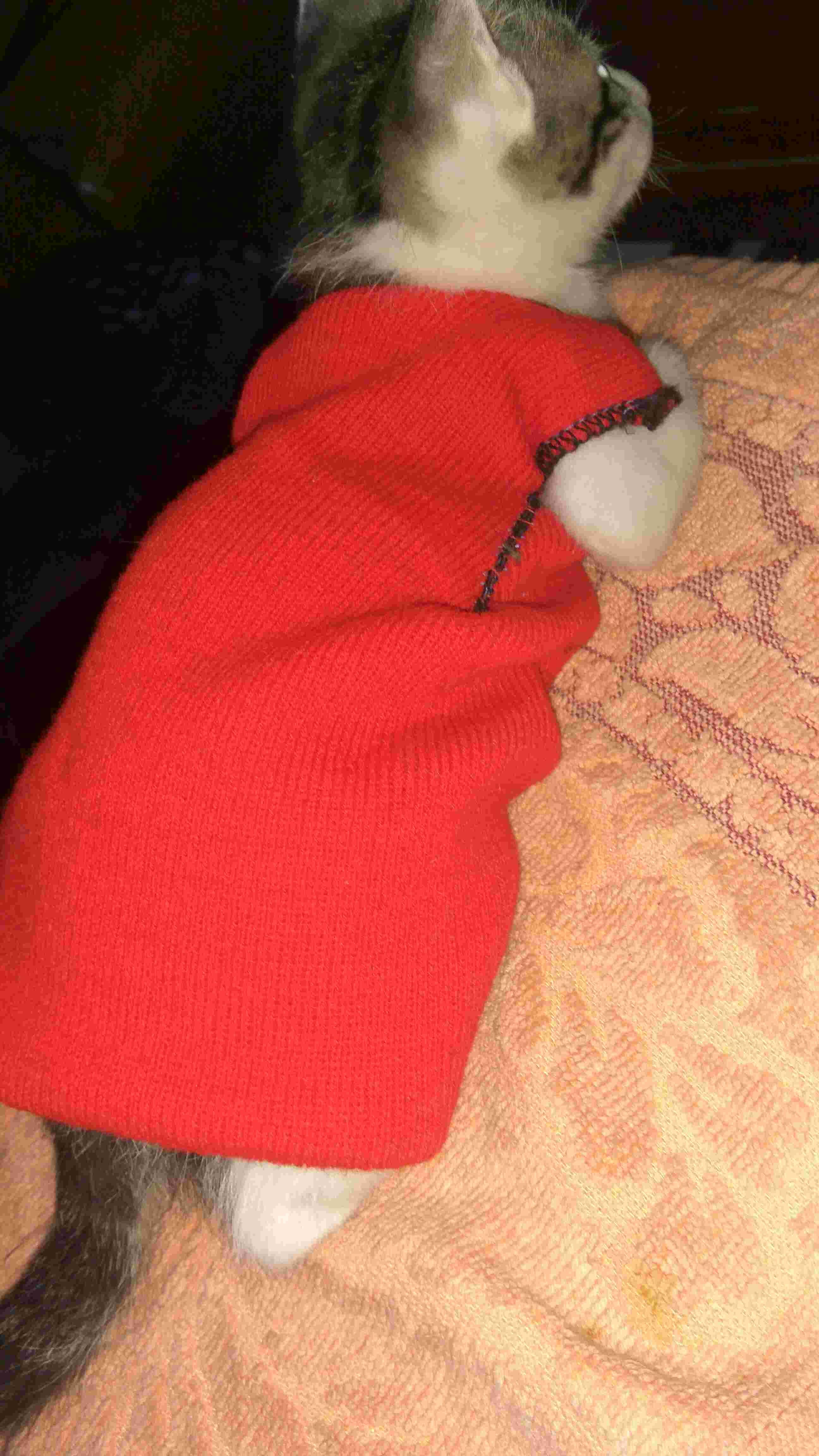 Question details sensitive content