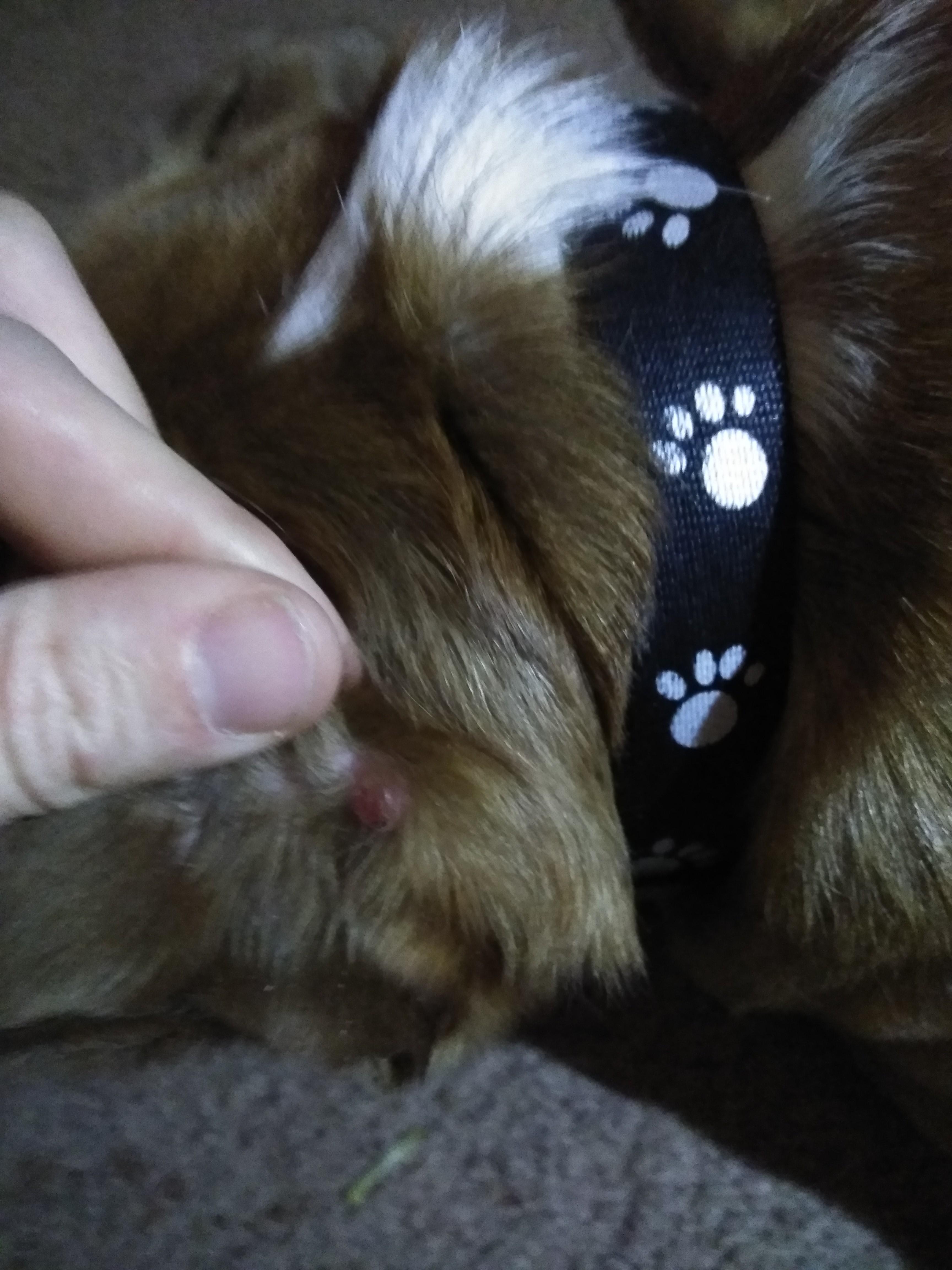 Question details sensitive content