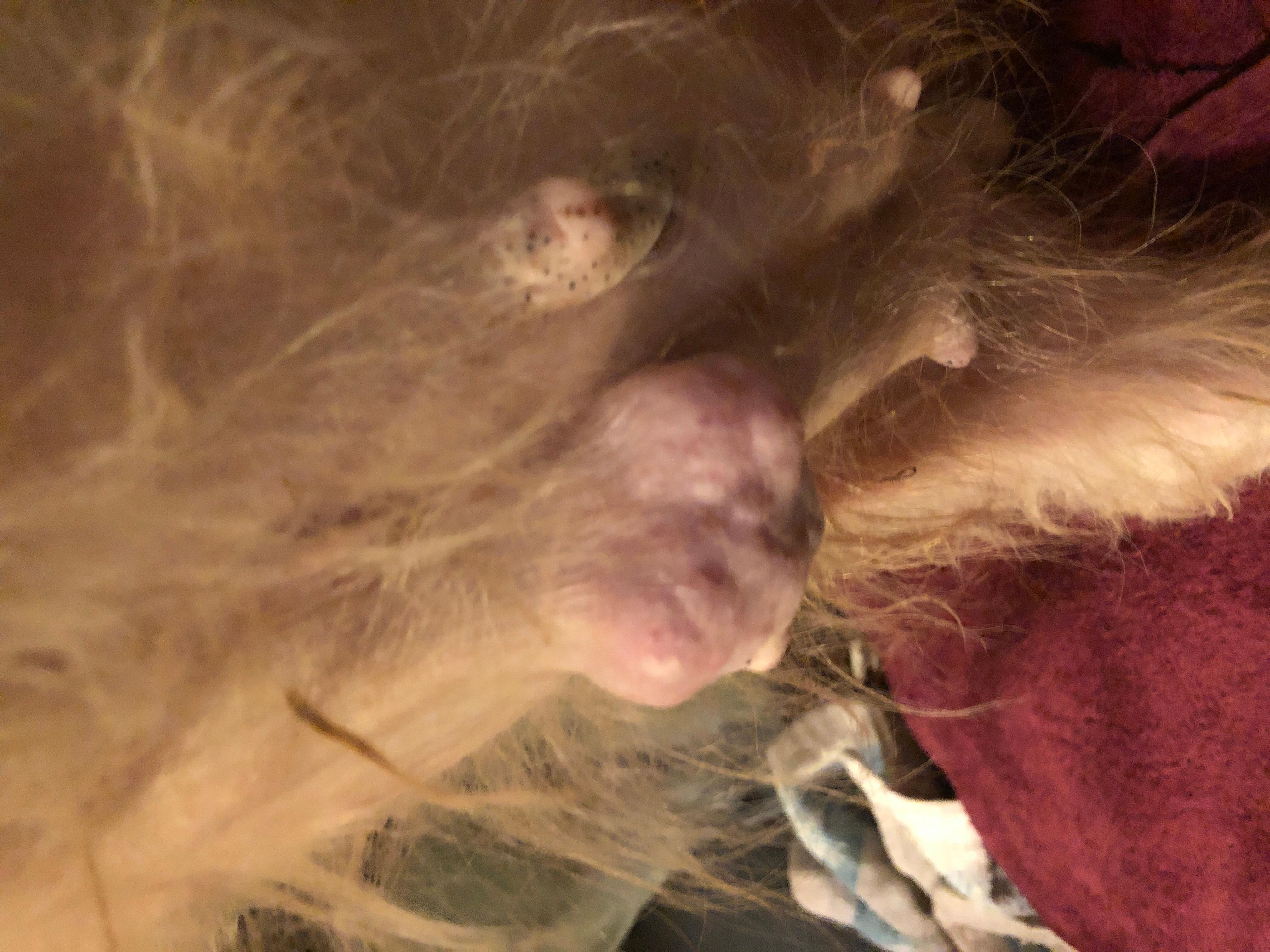 Question details sensitive content