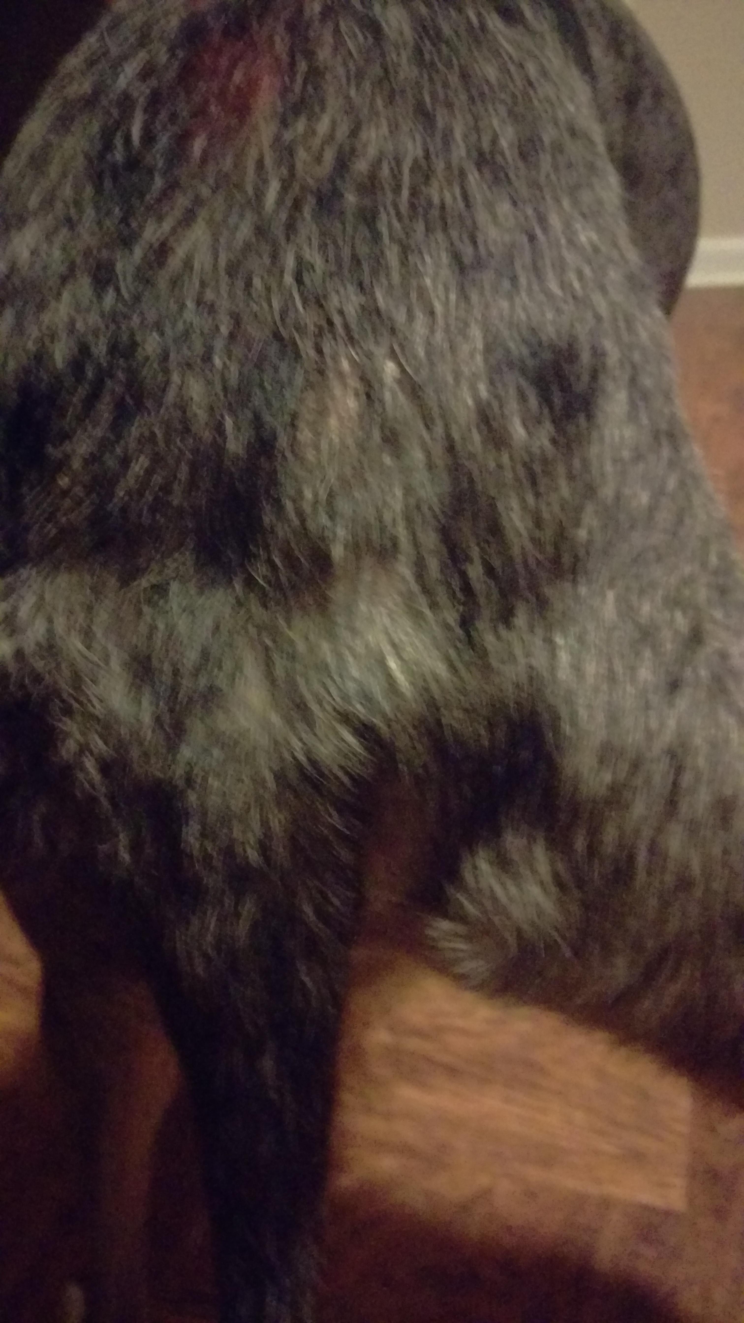 Question details sensitive content