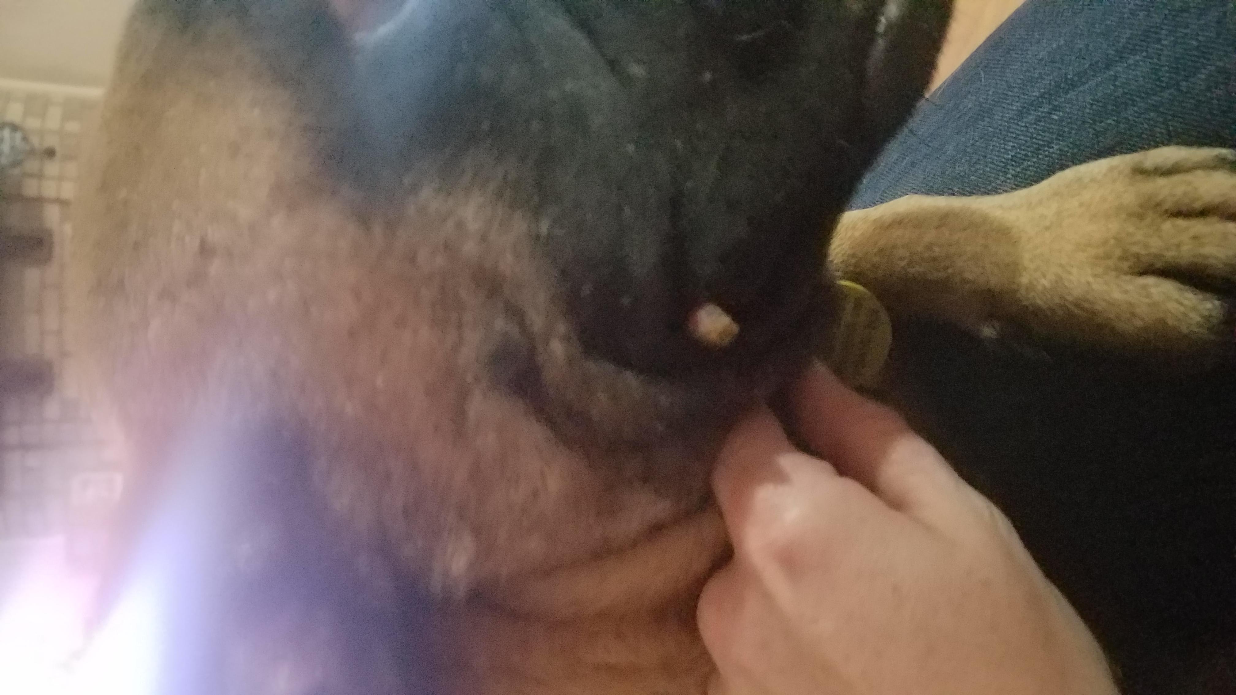 Question details sensitive content