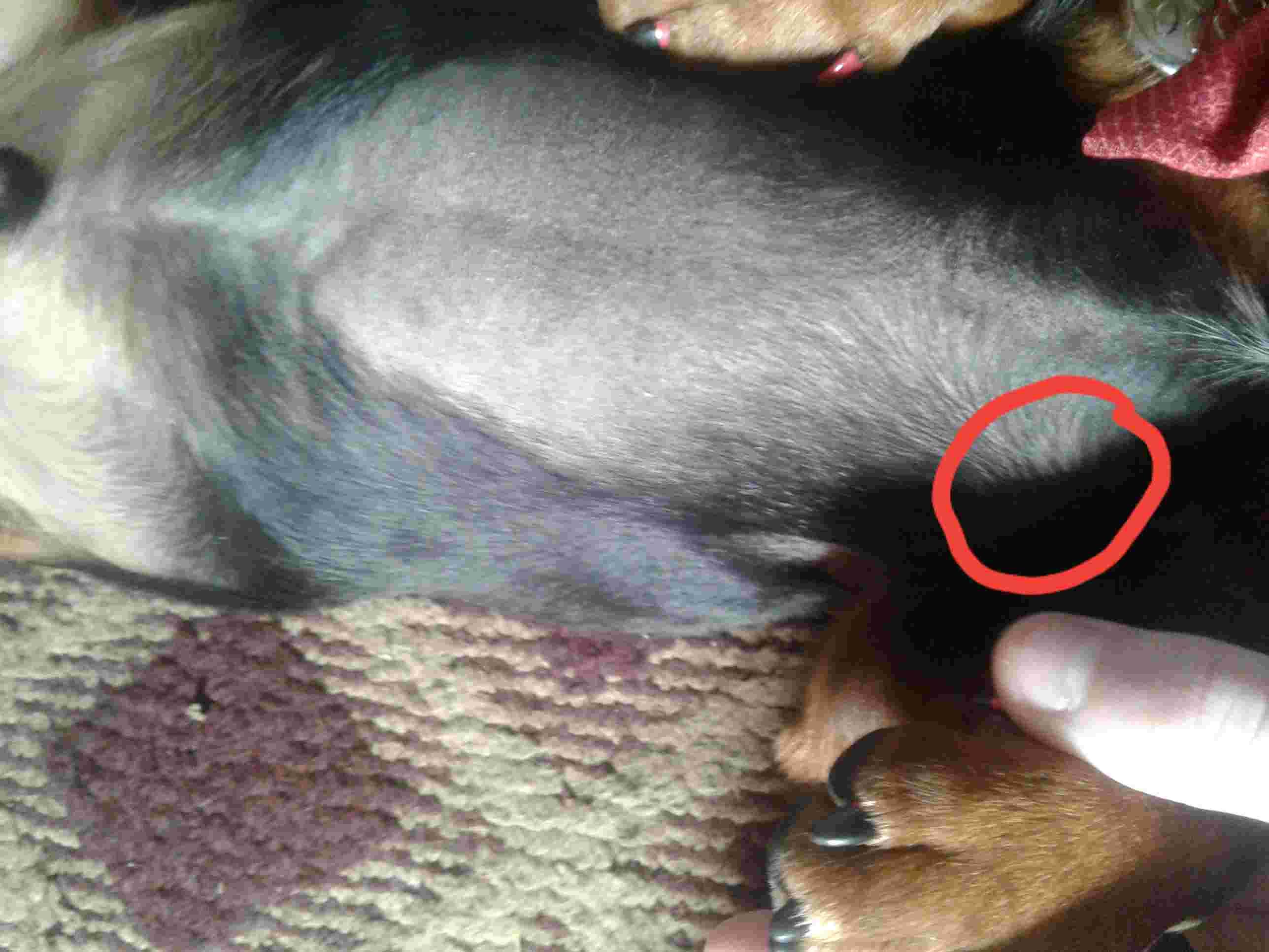 Question details sensitive content