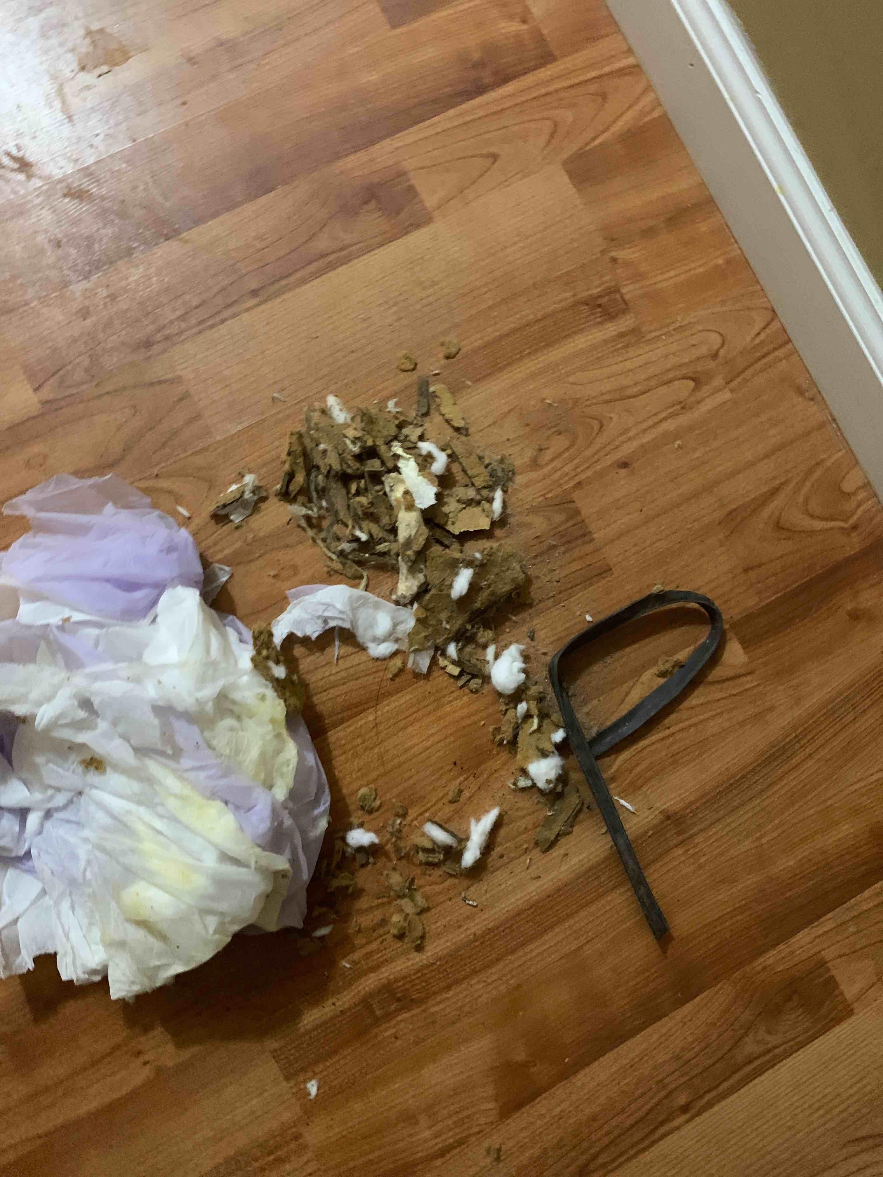 Question details sensitive content