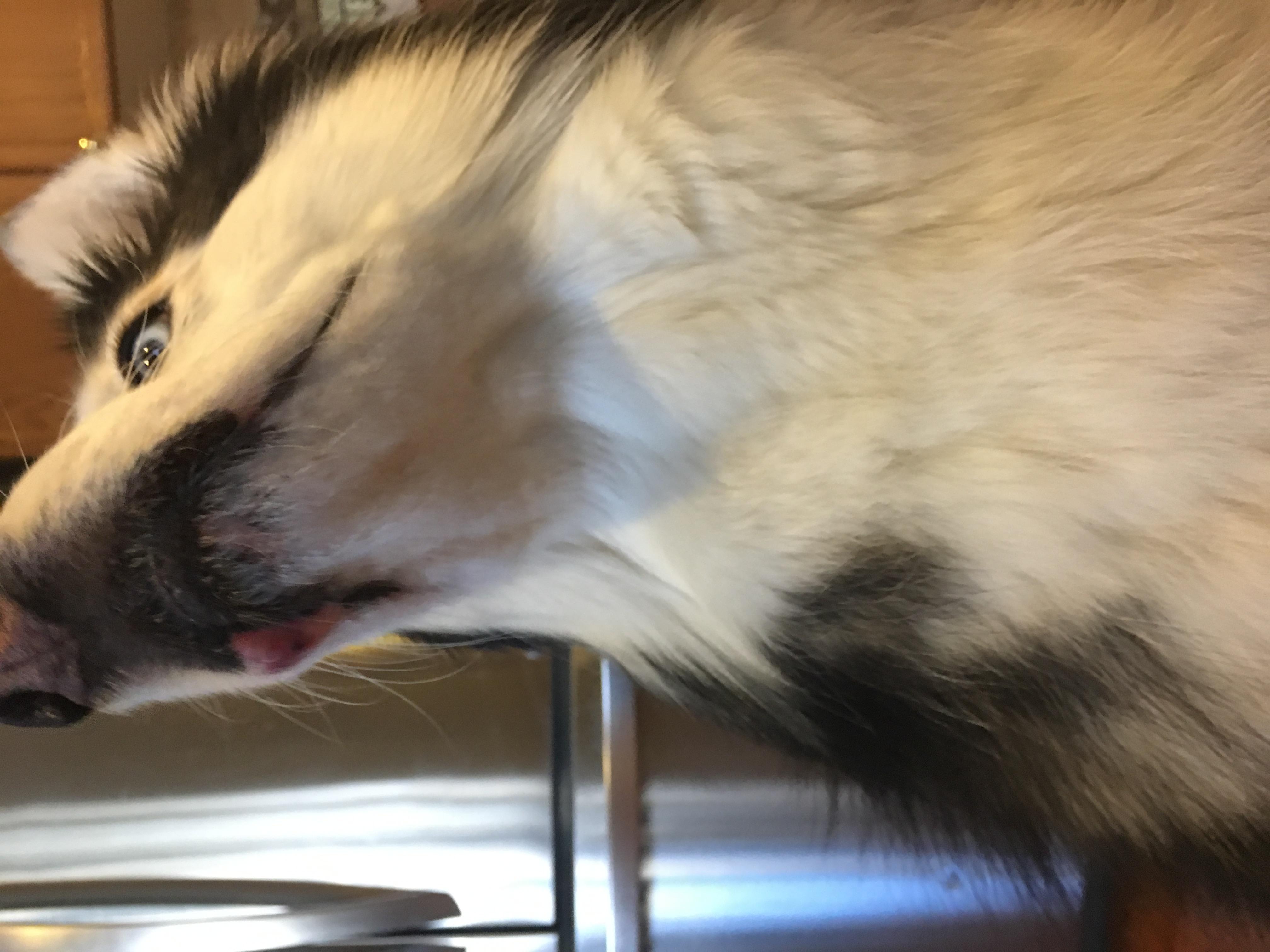 Question details sensitive content