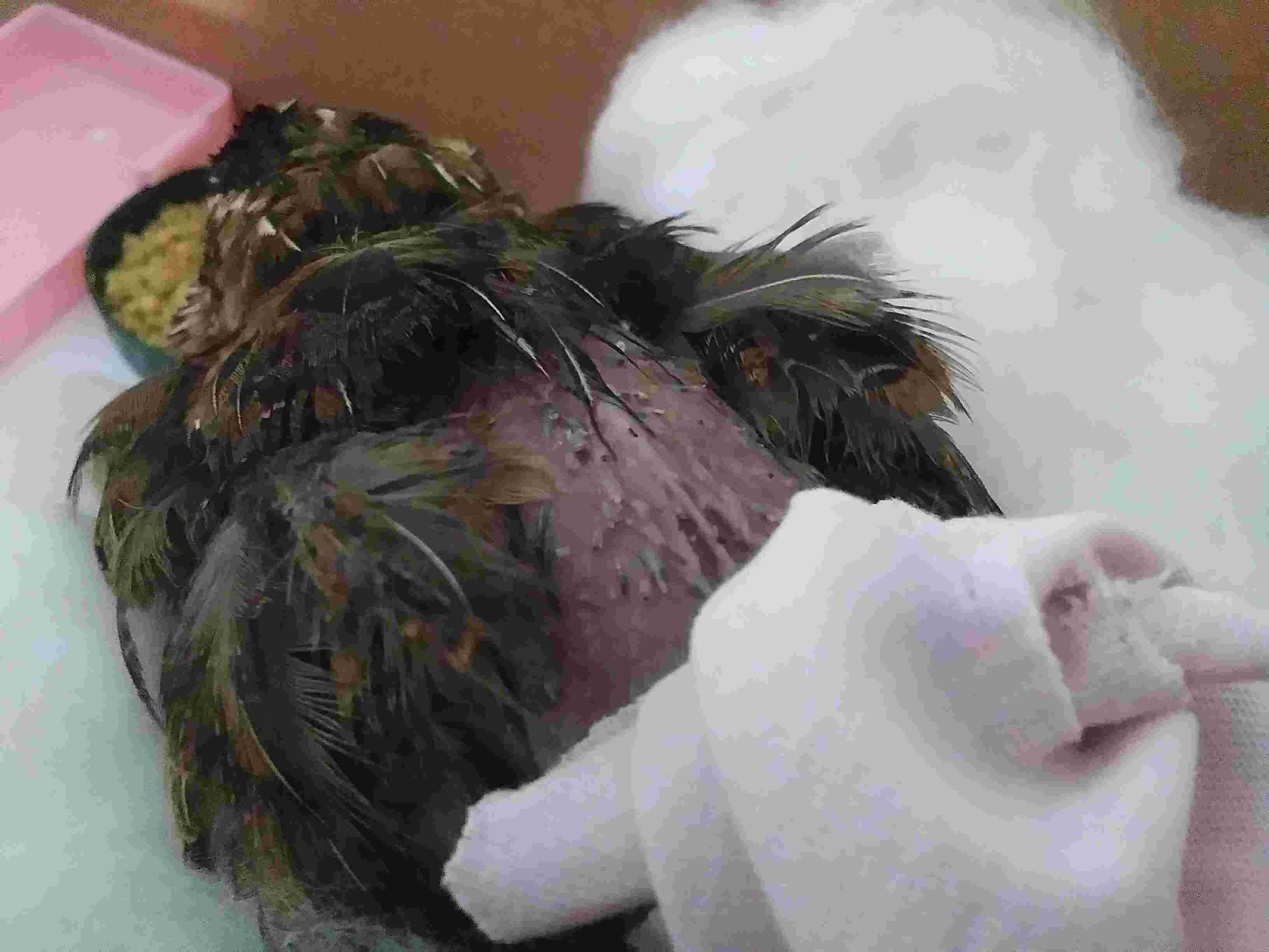 Question details sensitive content