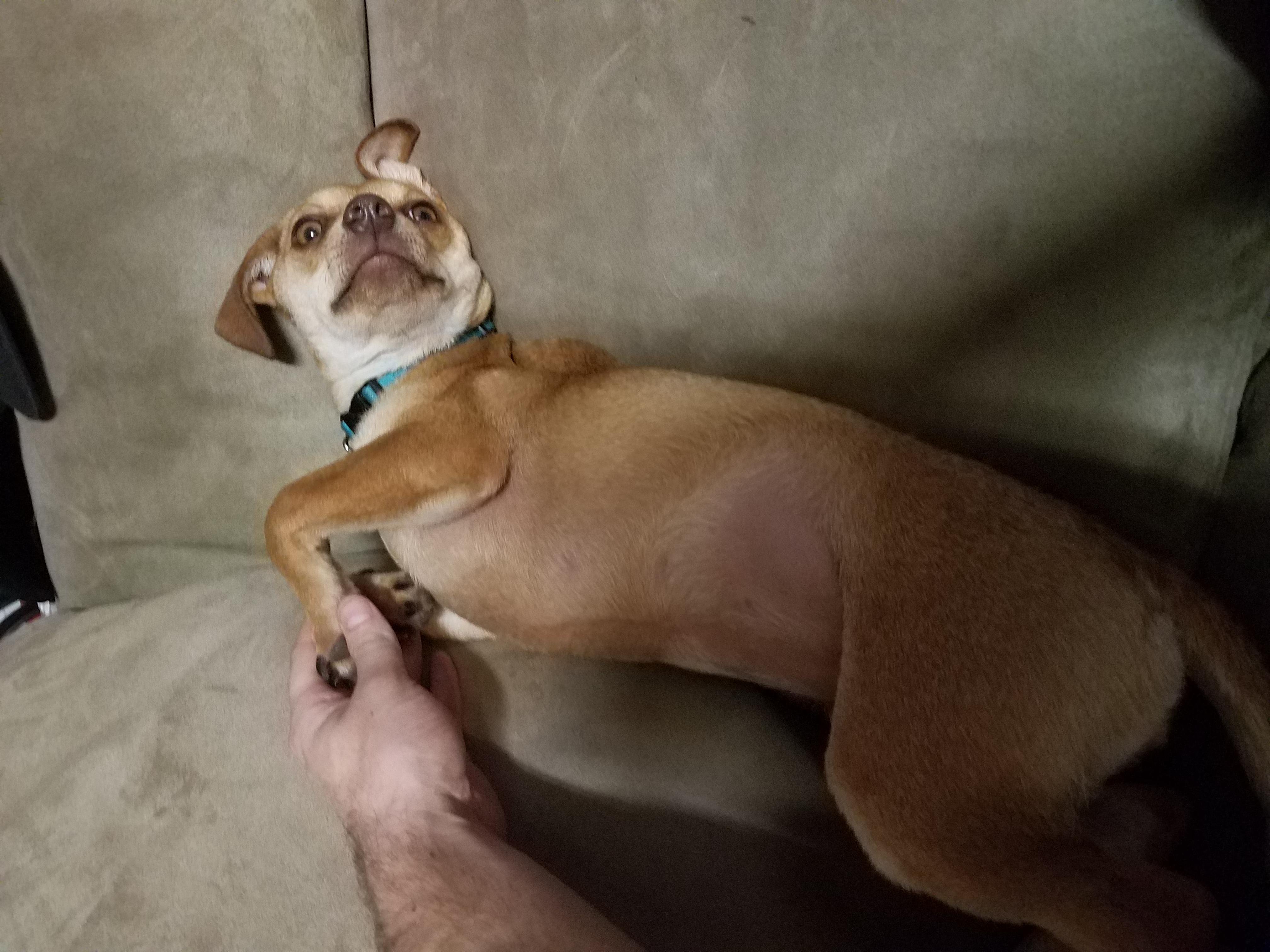 Question details sensitive content