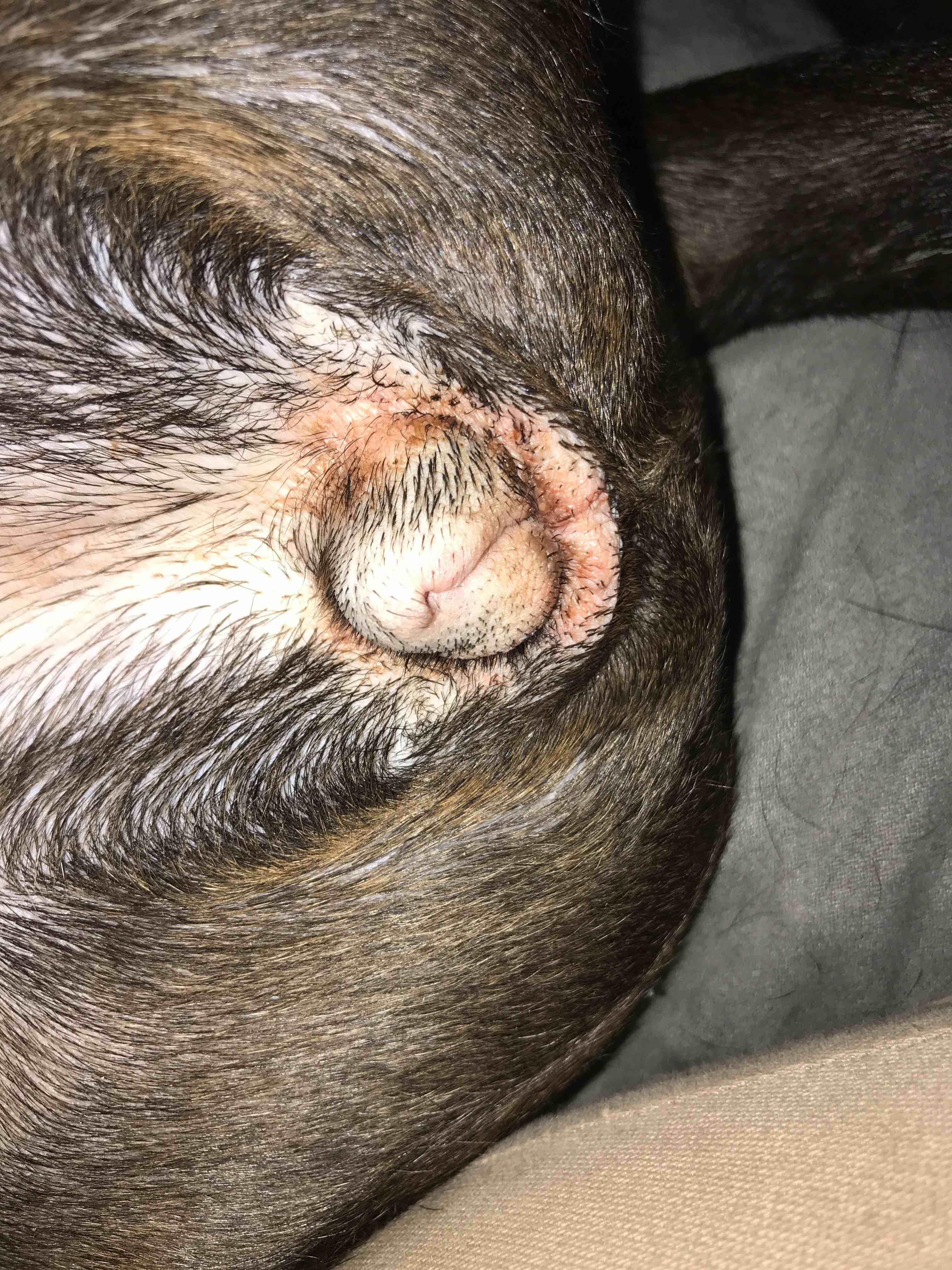 Question details sensitive content