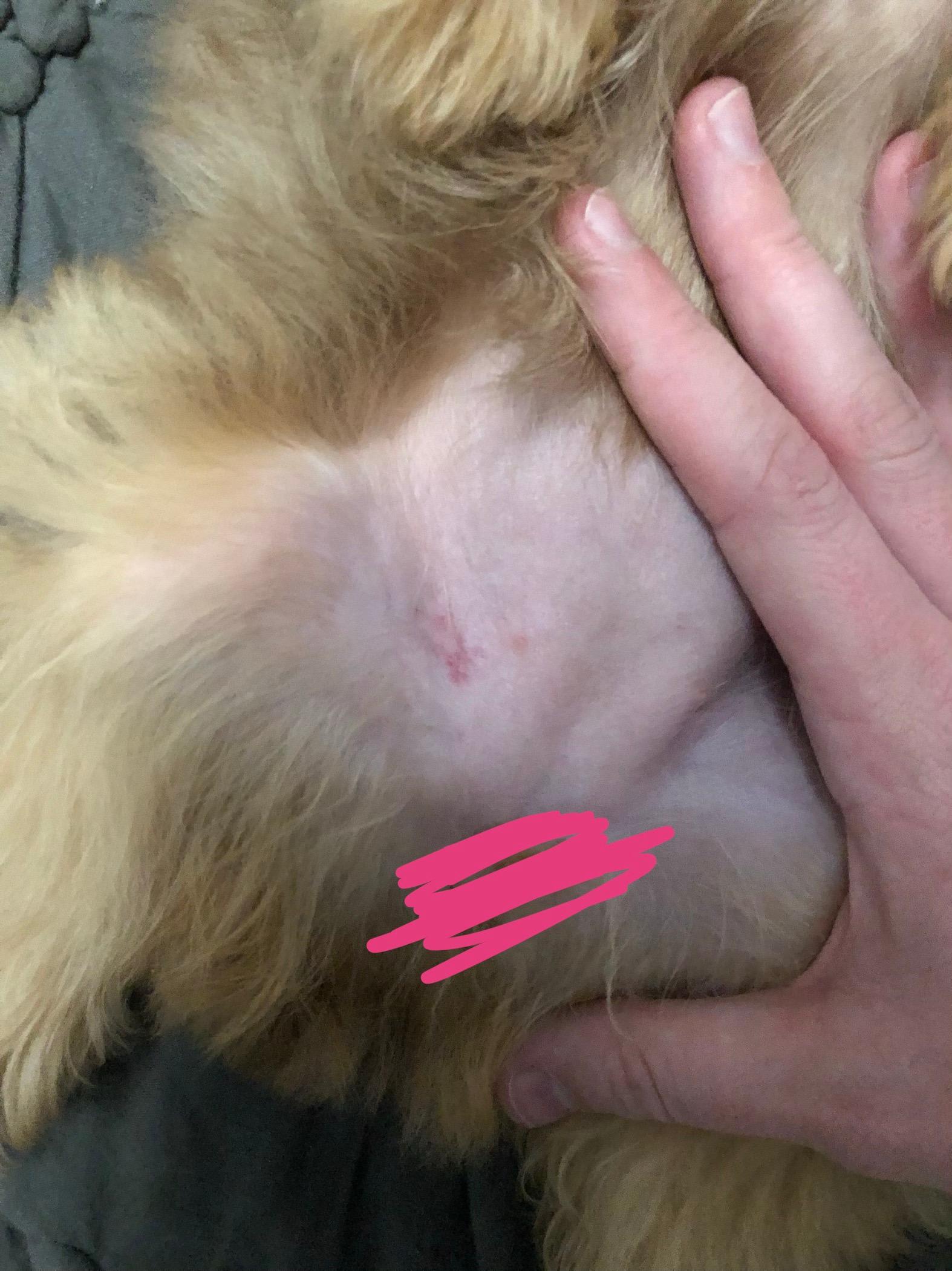 Question details sensitive content