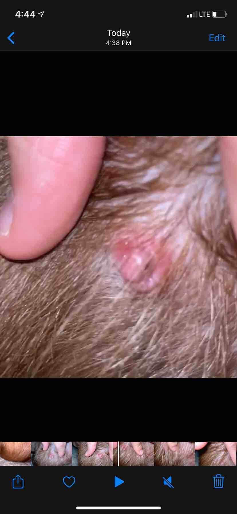 Question details sensitive content