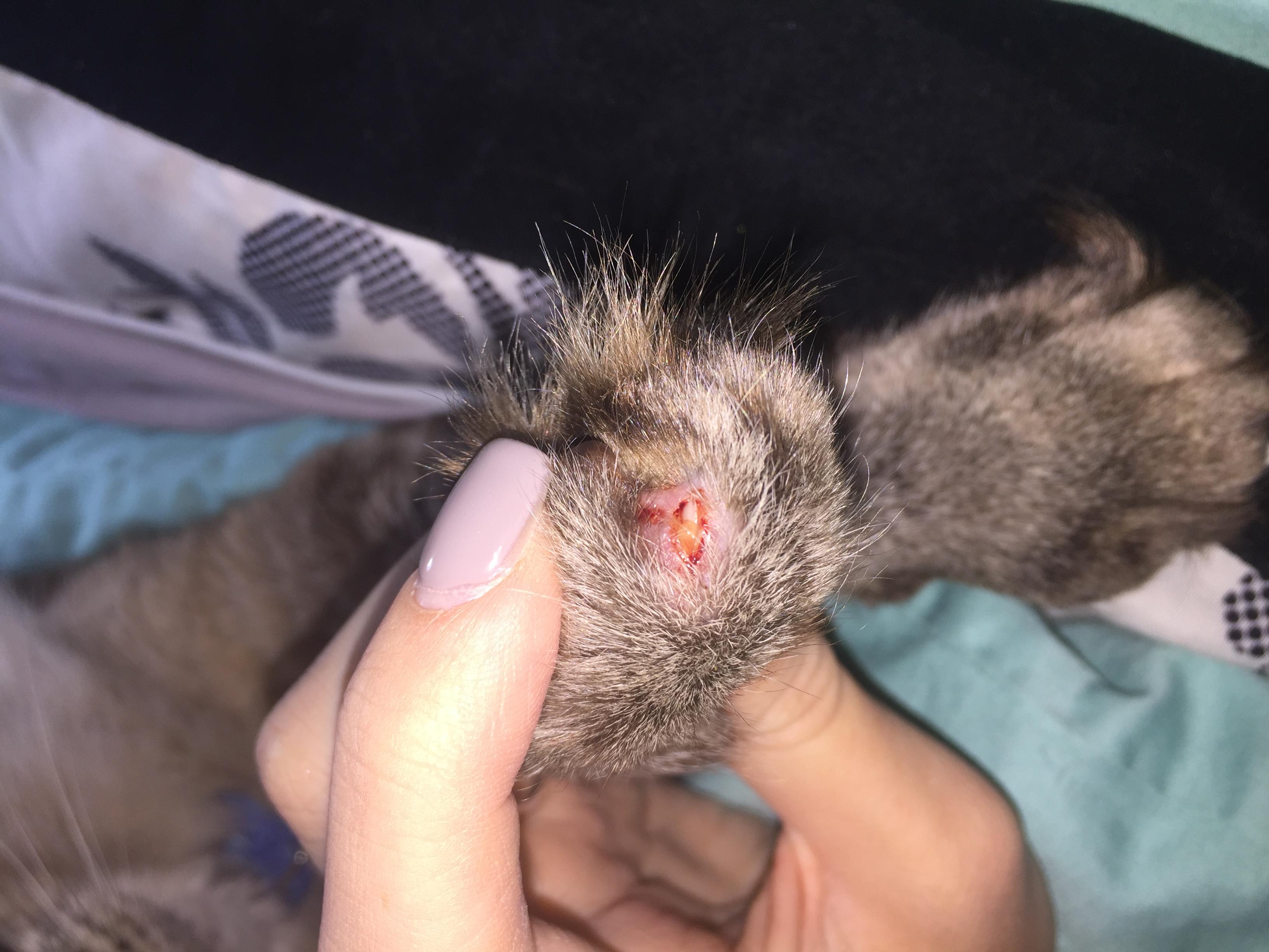 Question details sensitive content