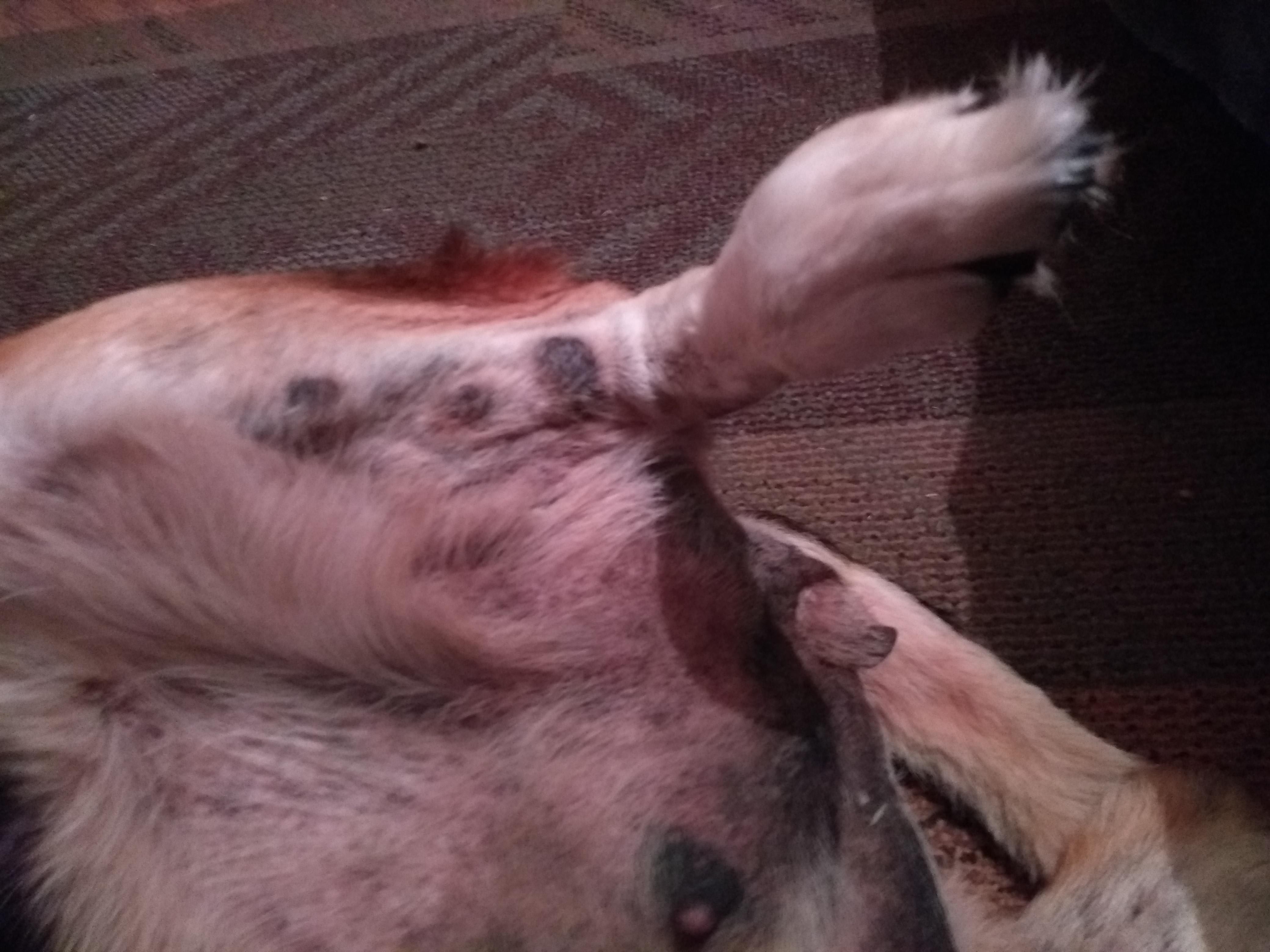 Question details sensitive content