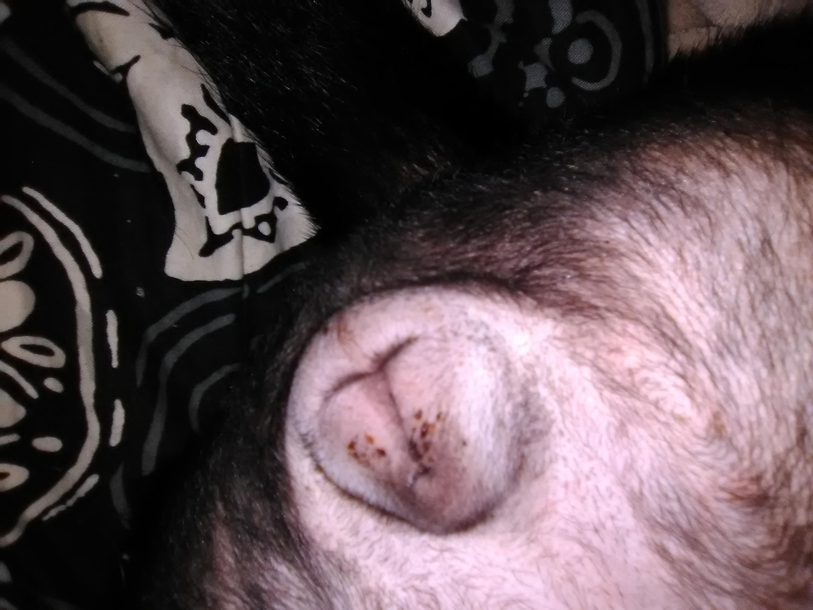 Question details sensitive content