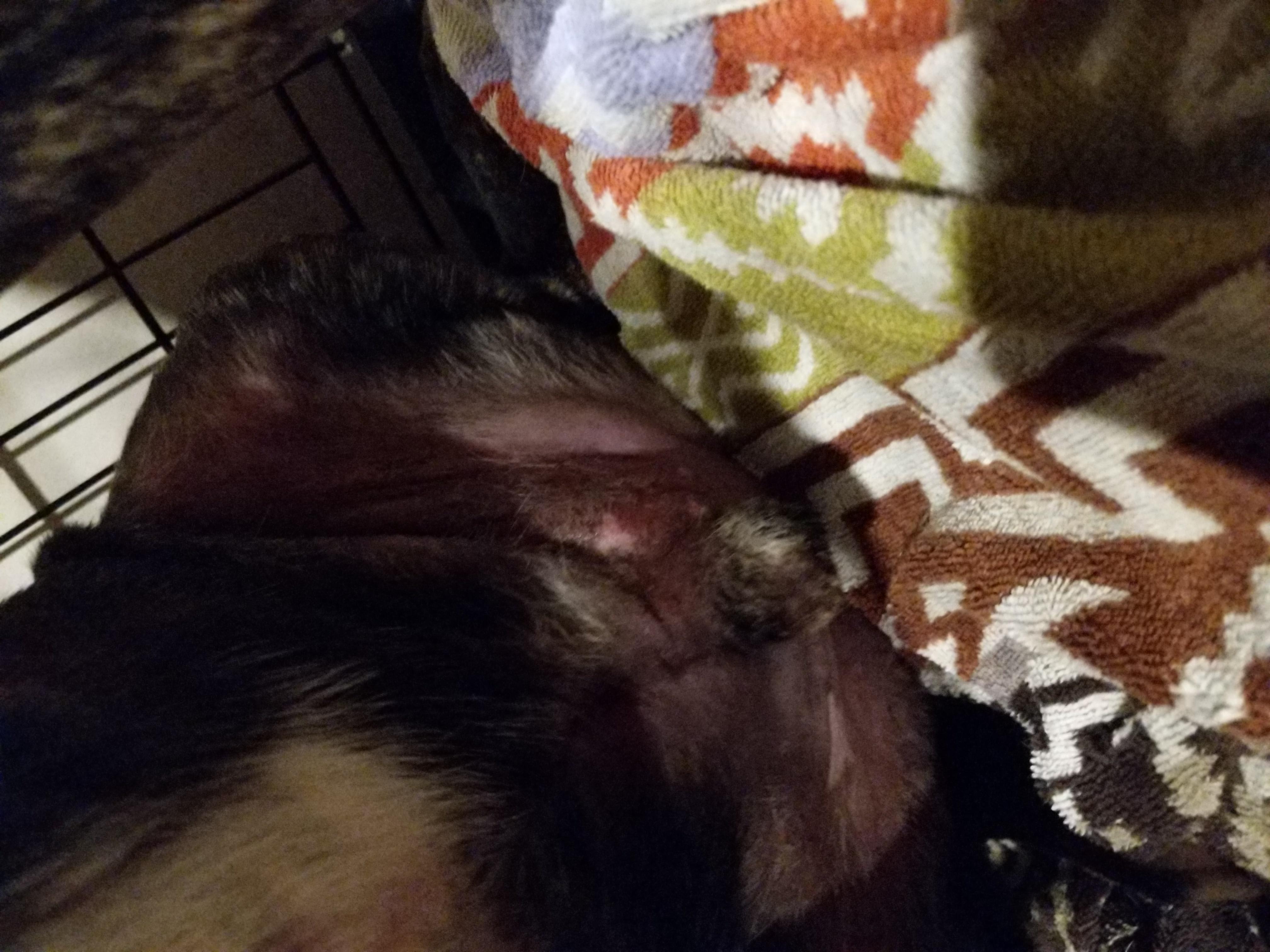 Question details sensitive content