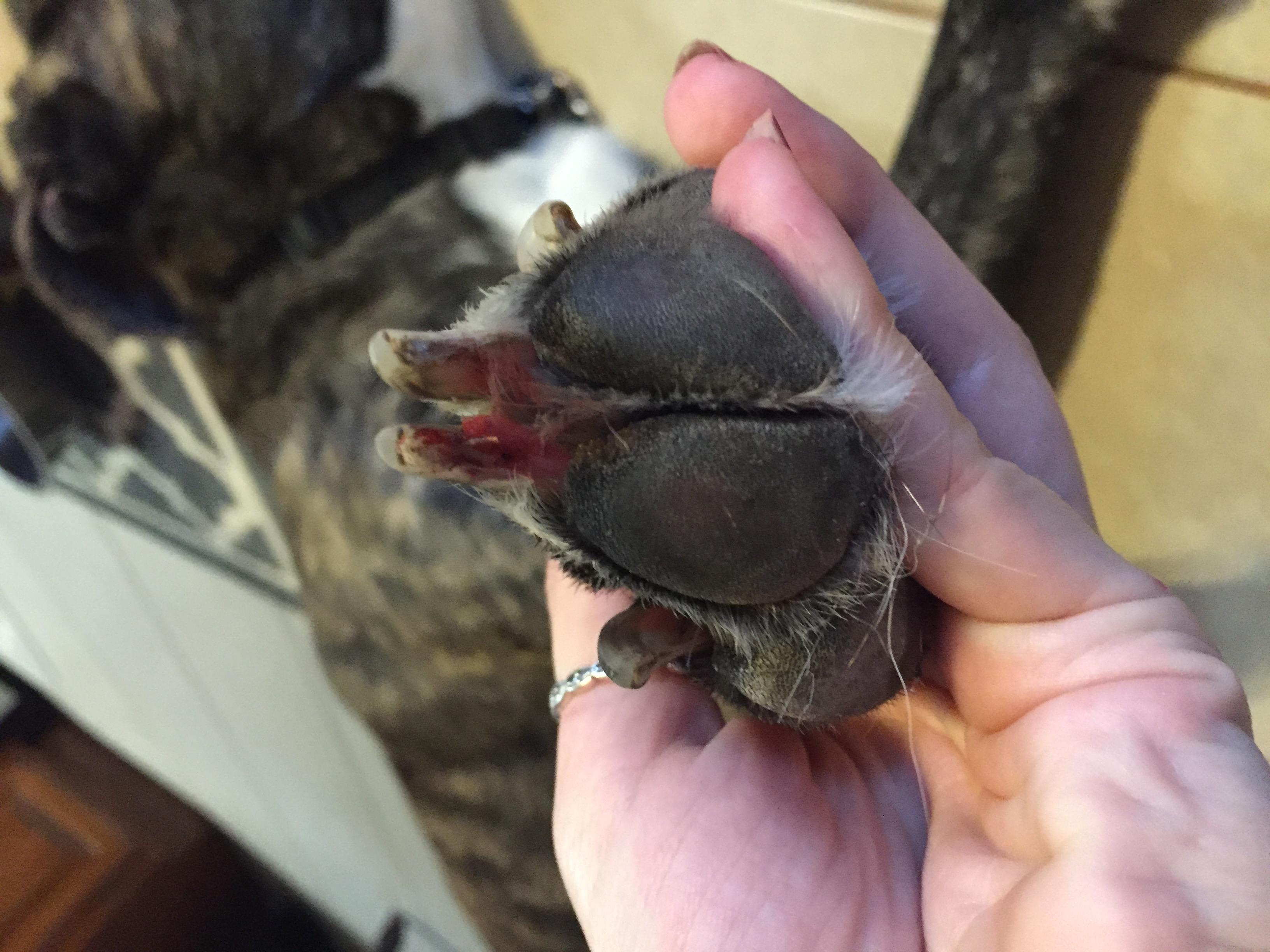 Question details sensitive content