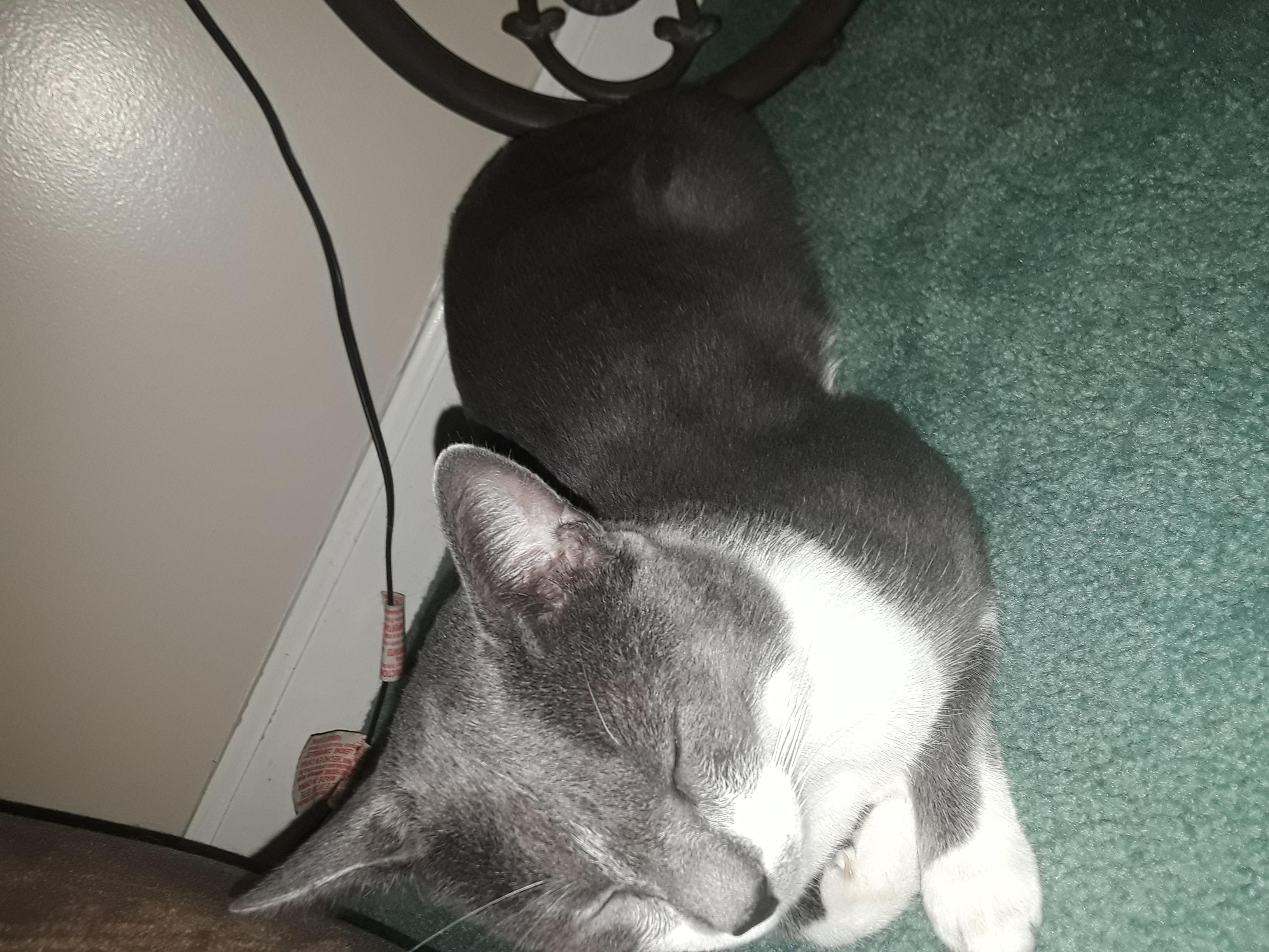 Question details sensitive content