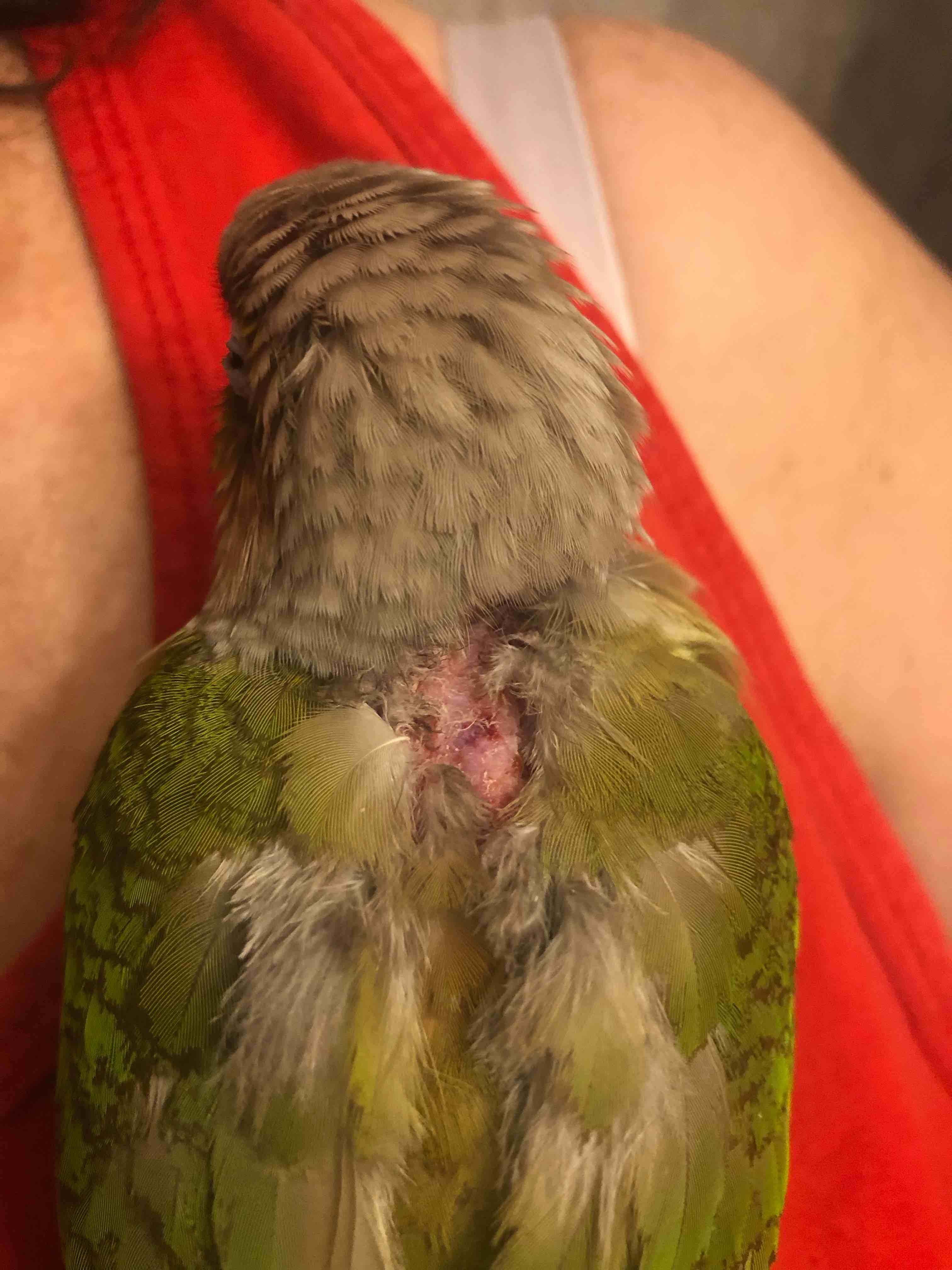 Question details sensitive content