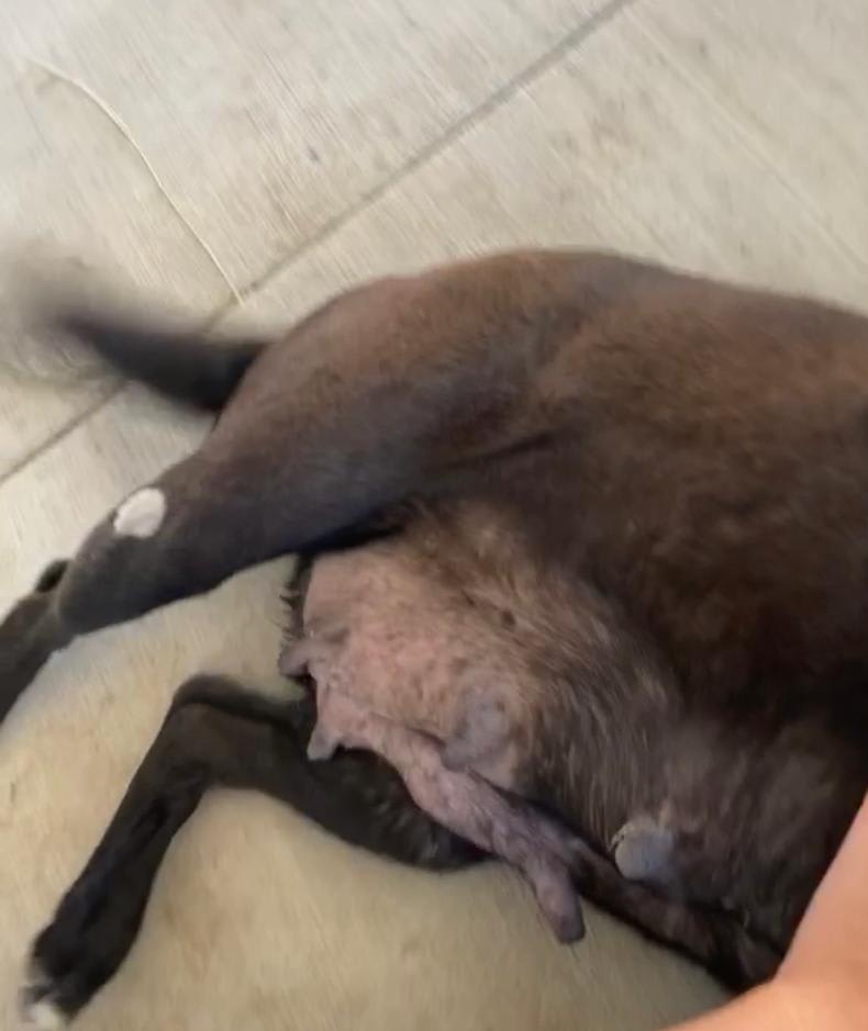 Question details sensitive content