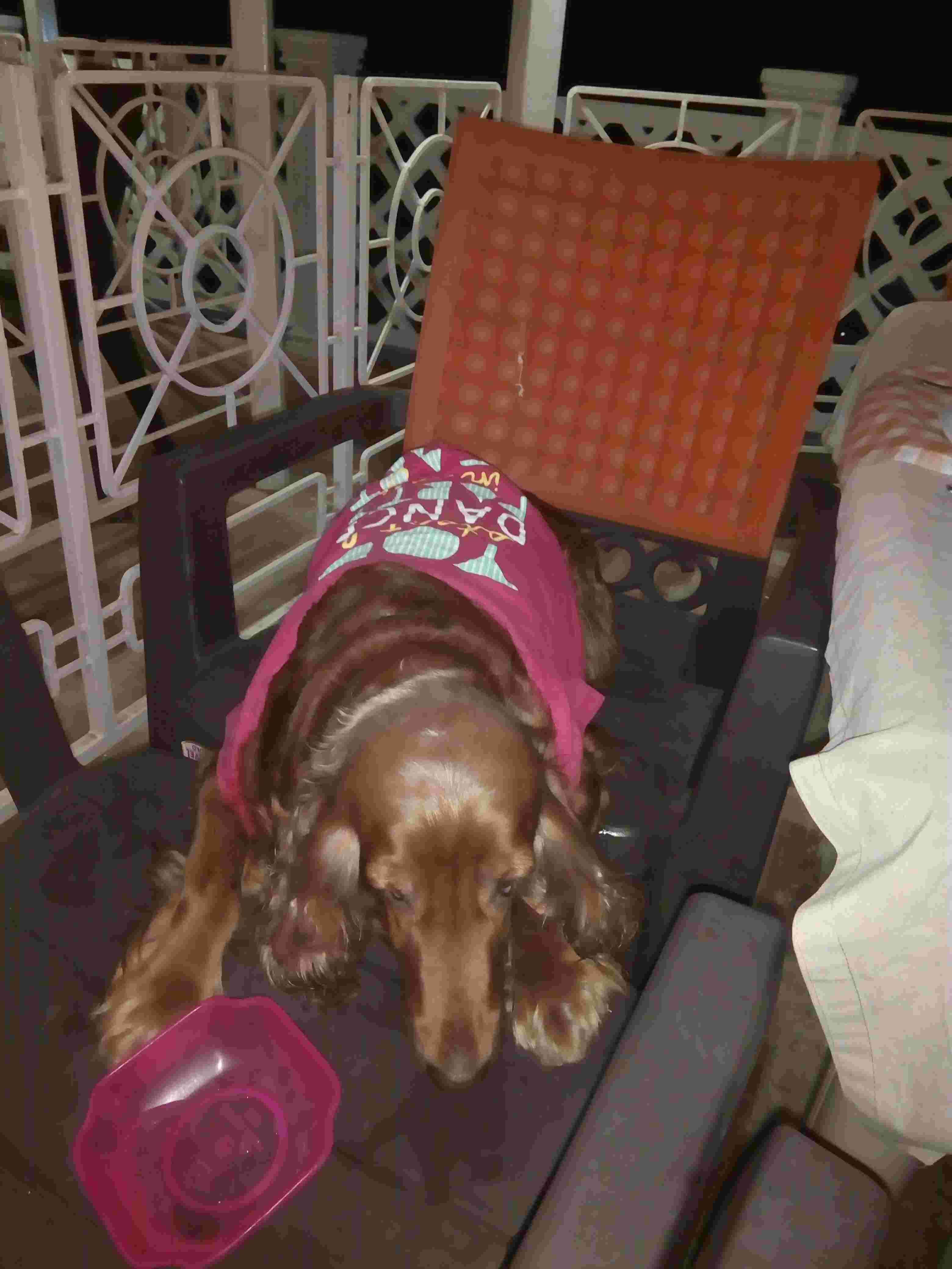 Question details sensitive content