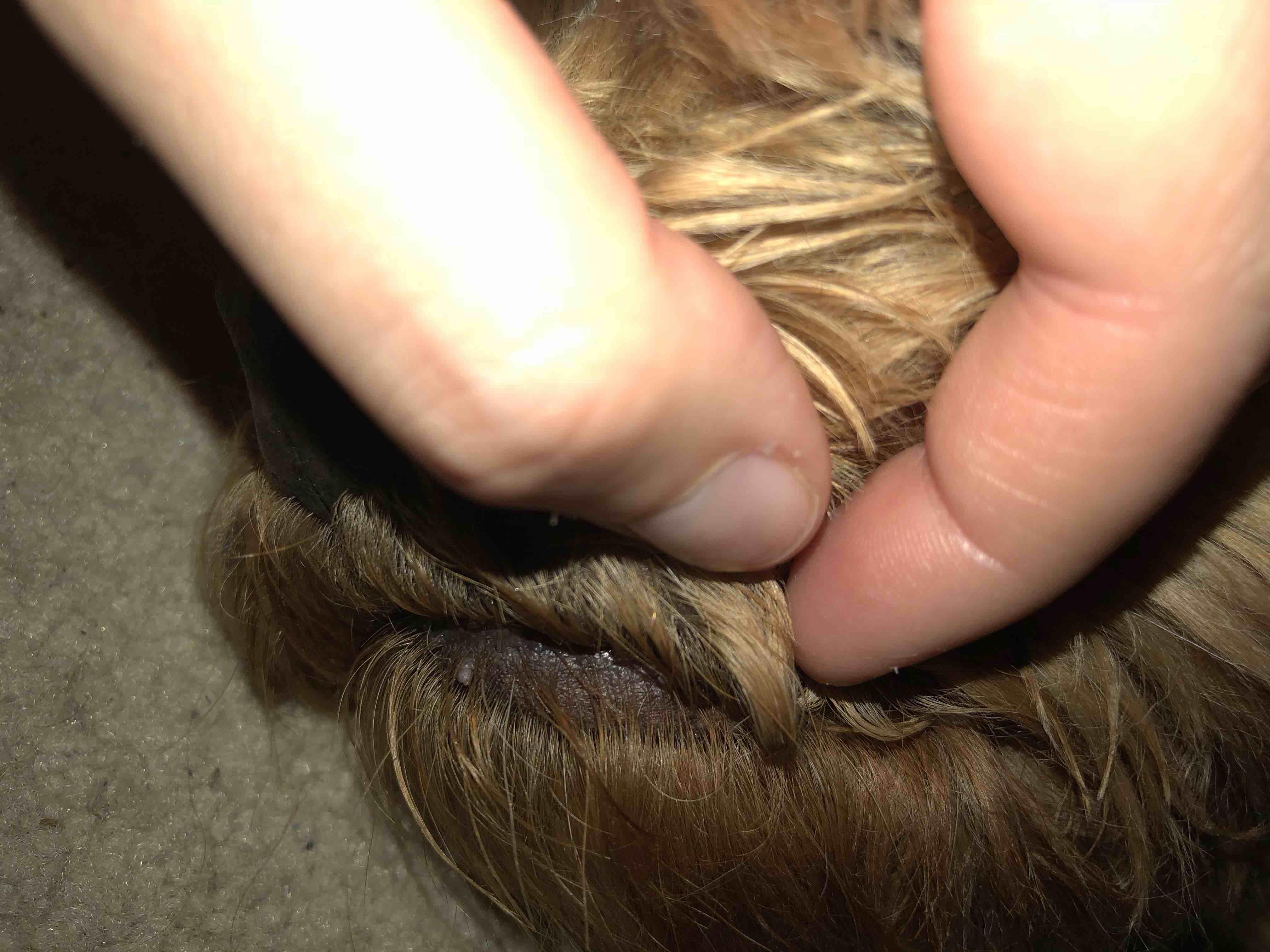 Question details sensitive content