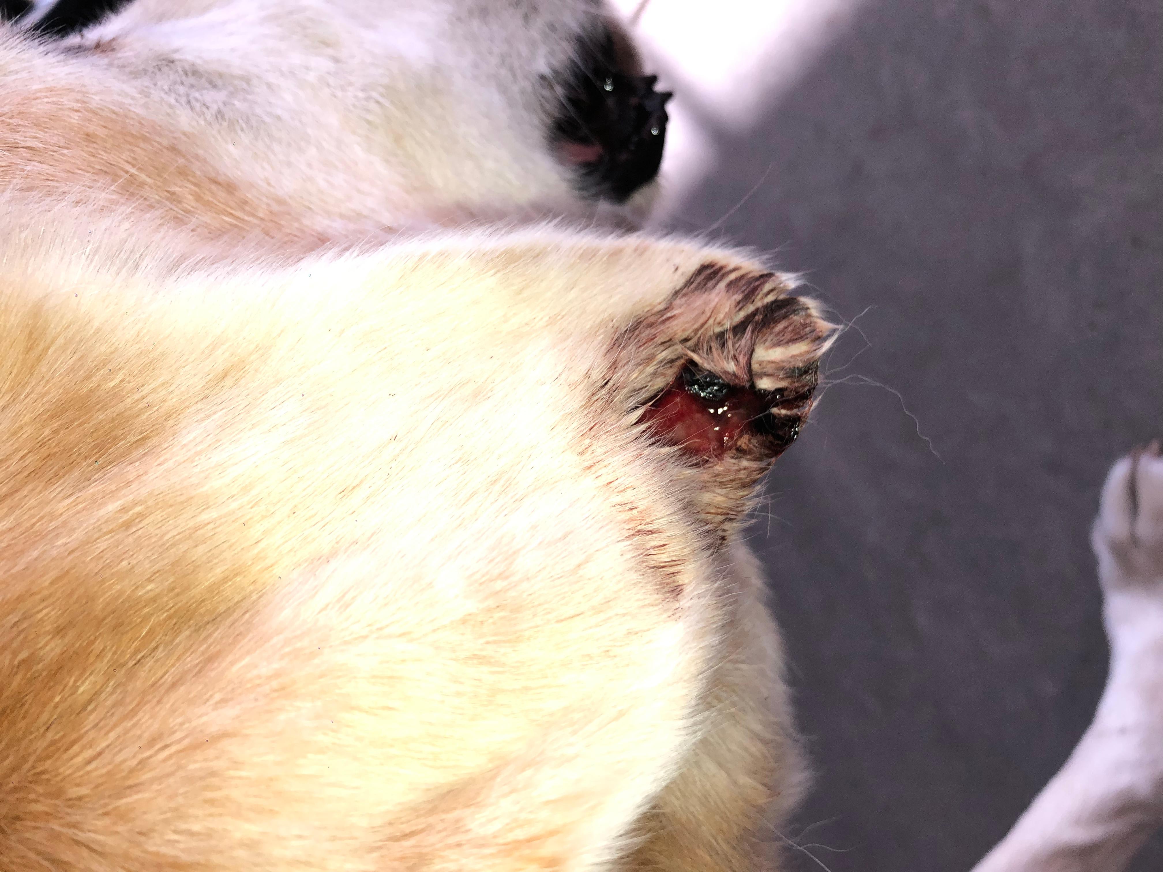 Question details sensitive content