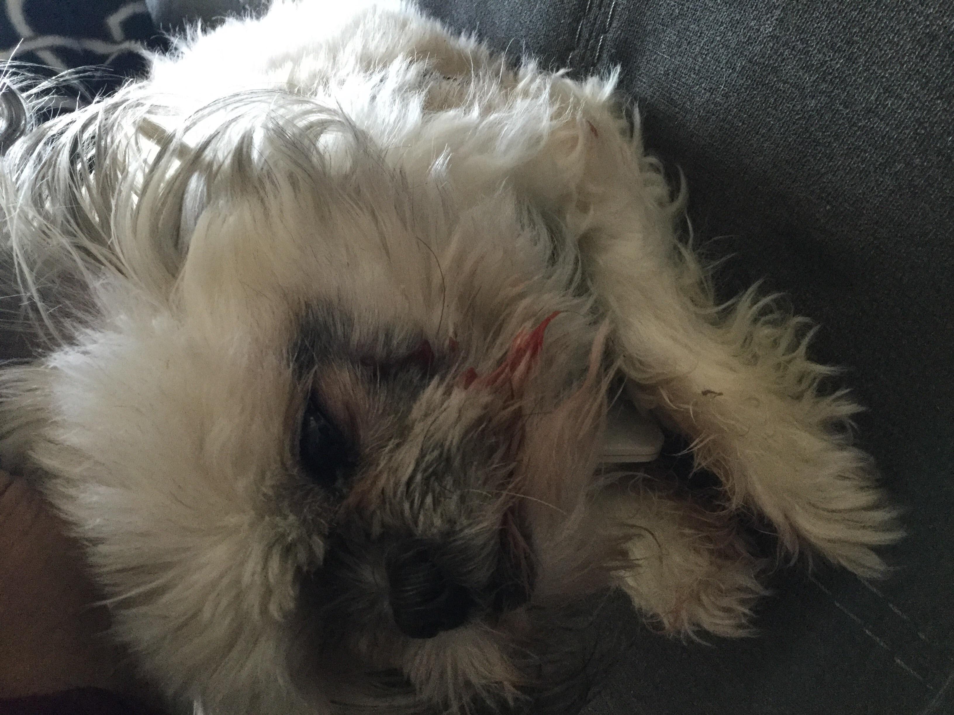 Question details sensitive content