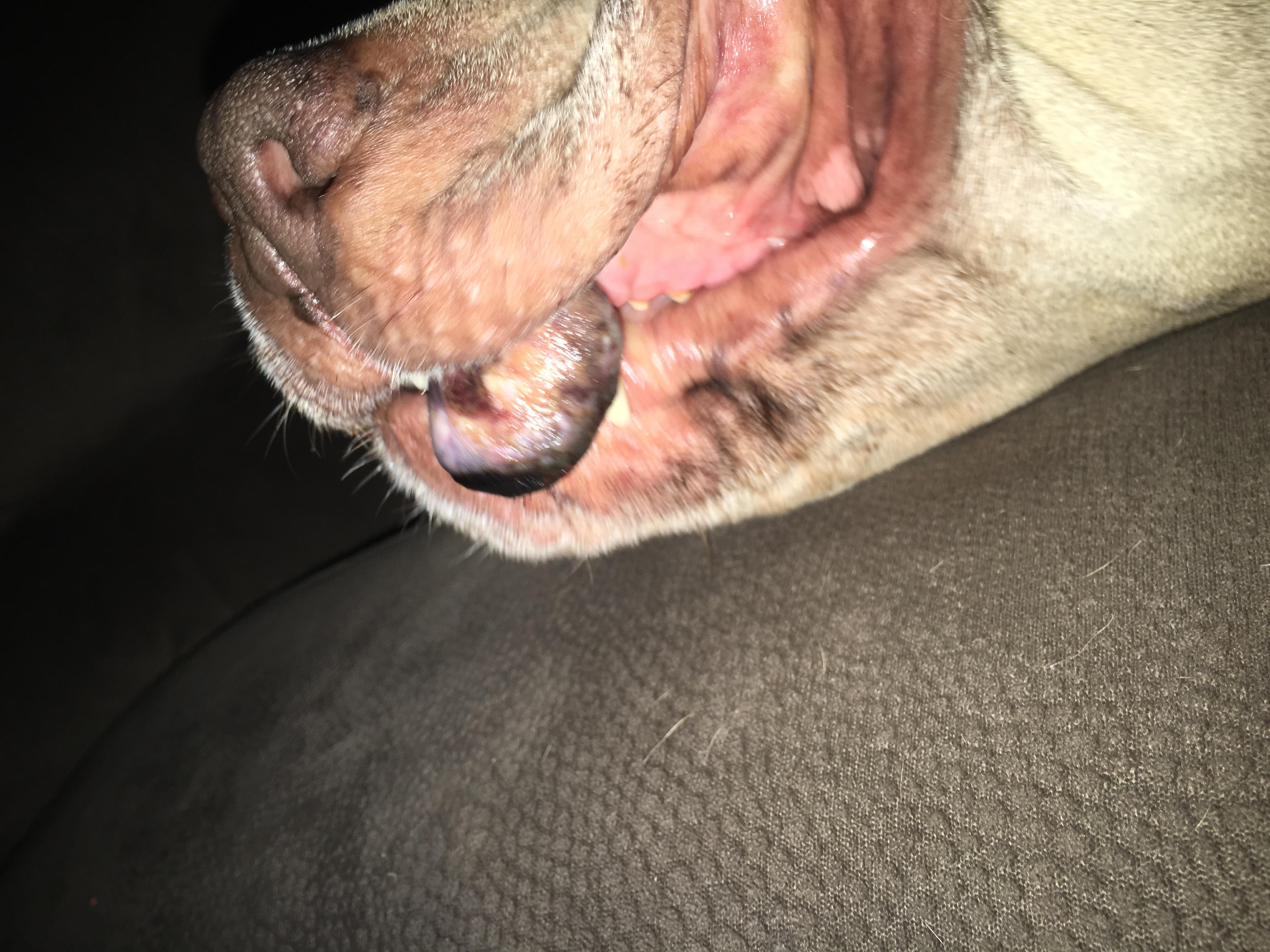 Question details sensitive content