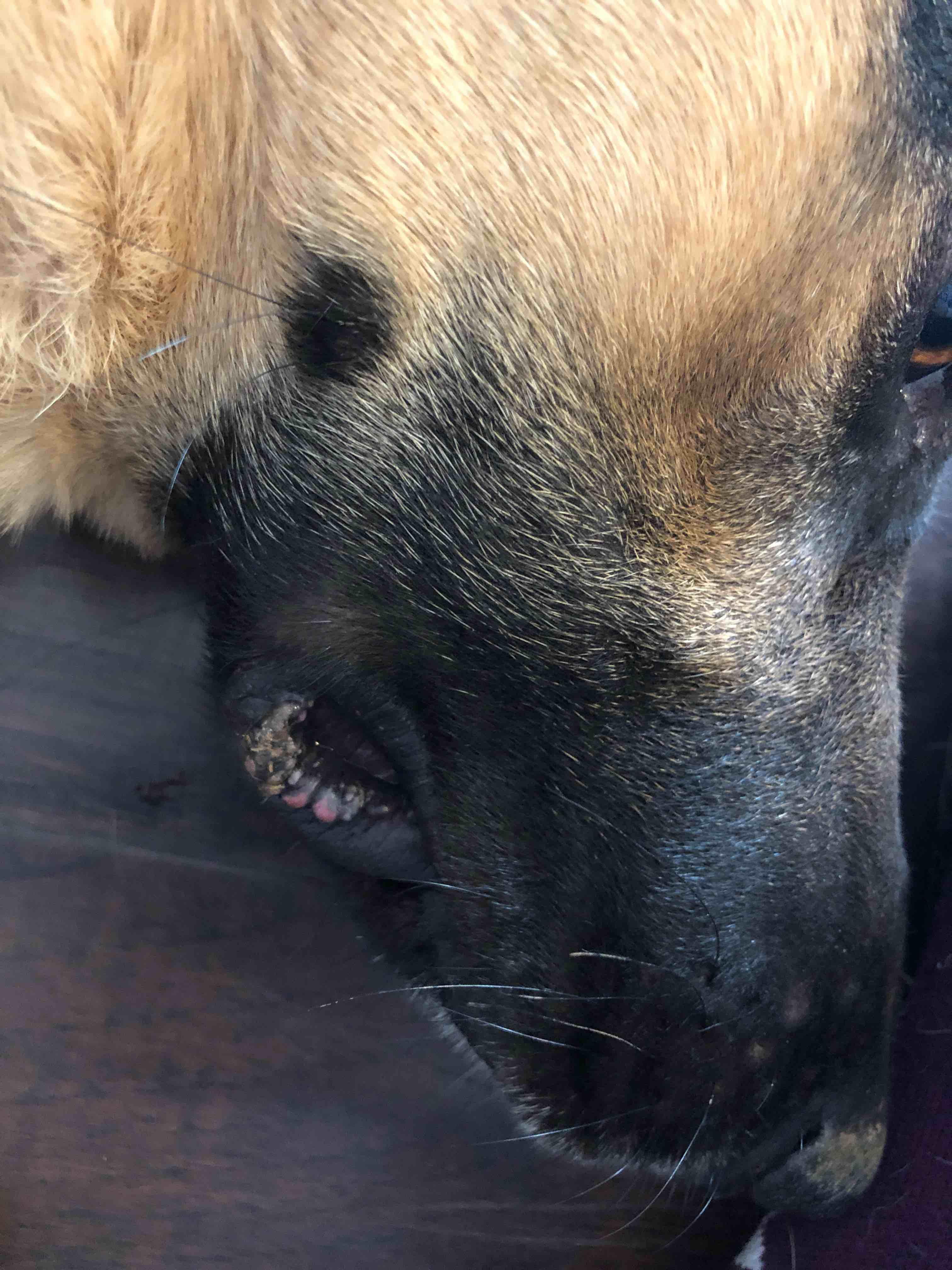 Question details sensitive content