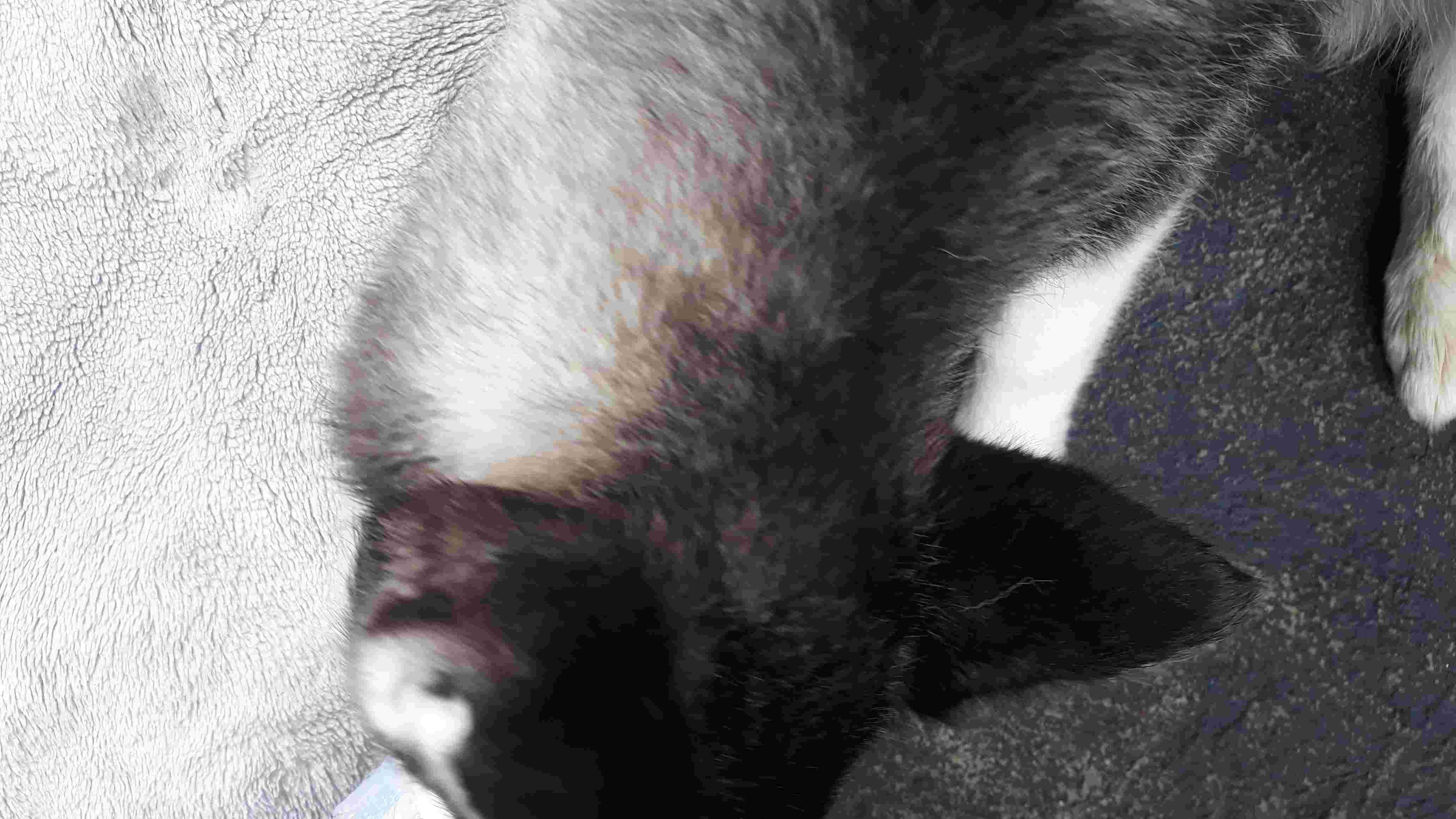 Question details sensitive content