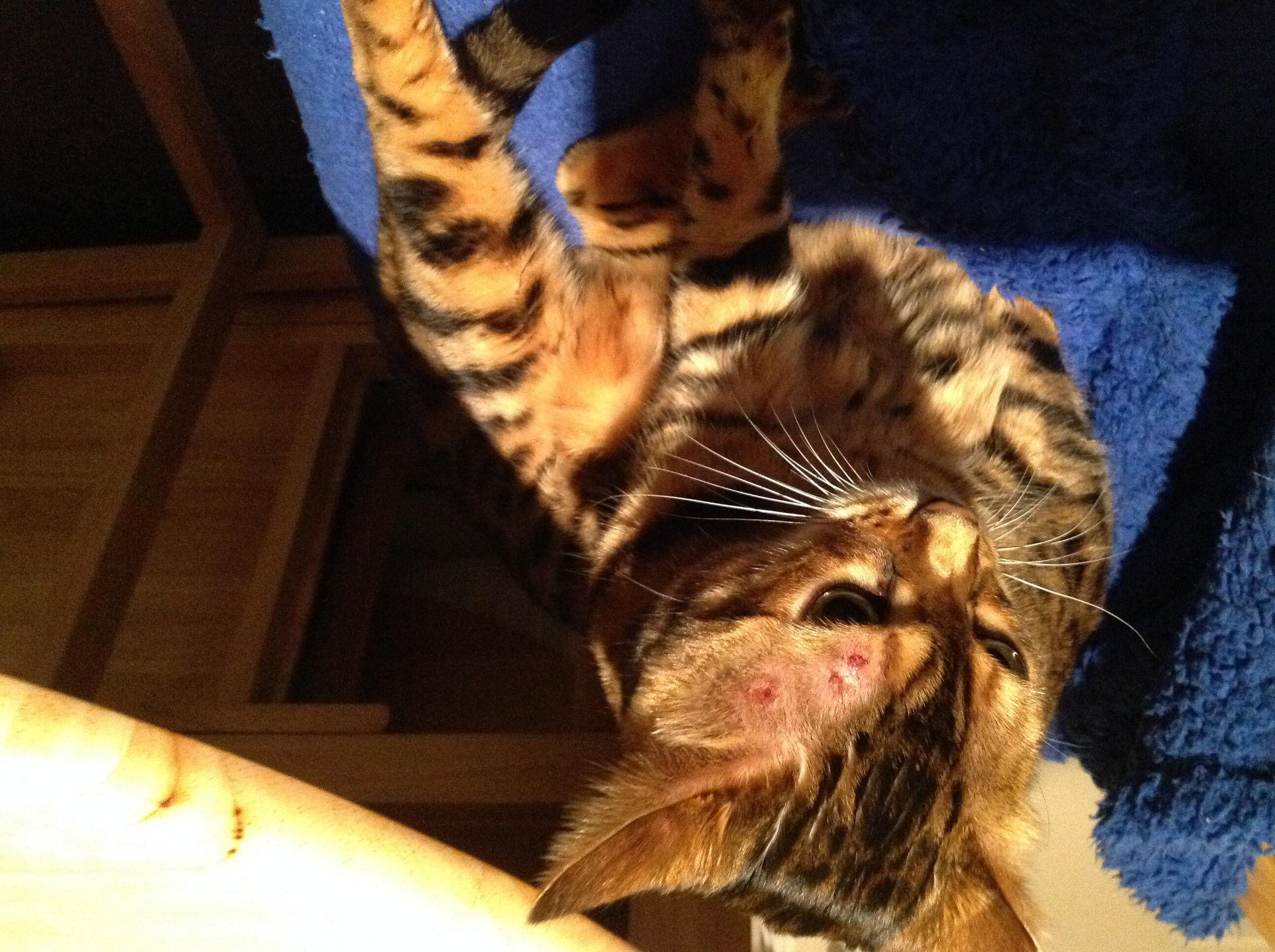 Question details sensitive content