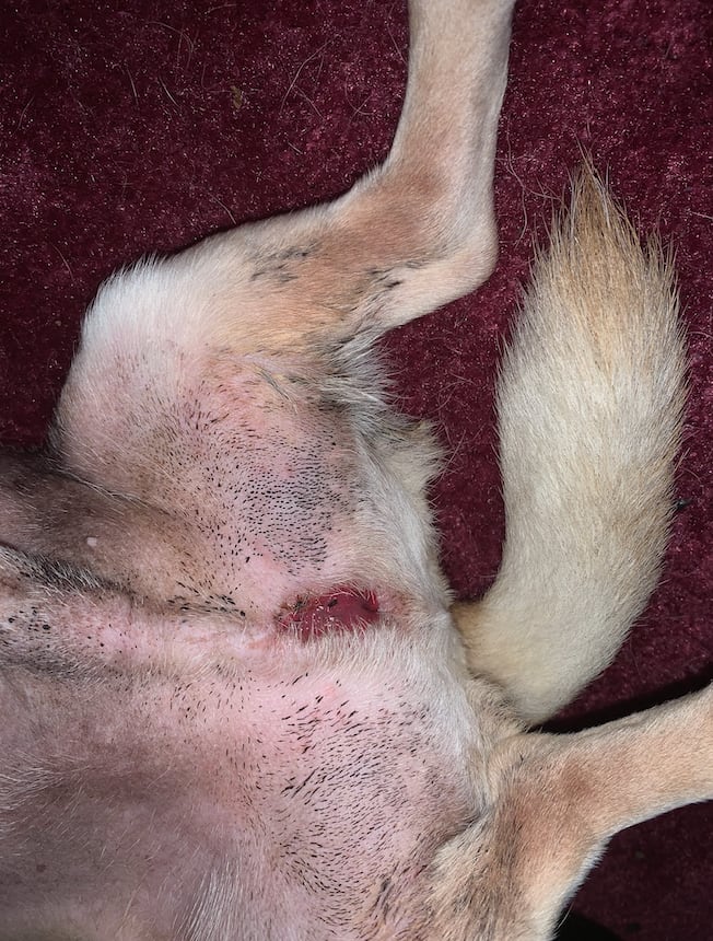 Question details sensitive content