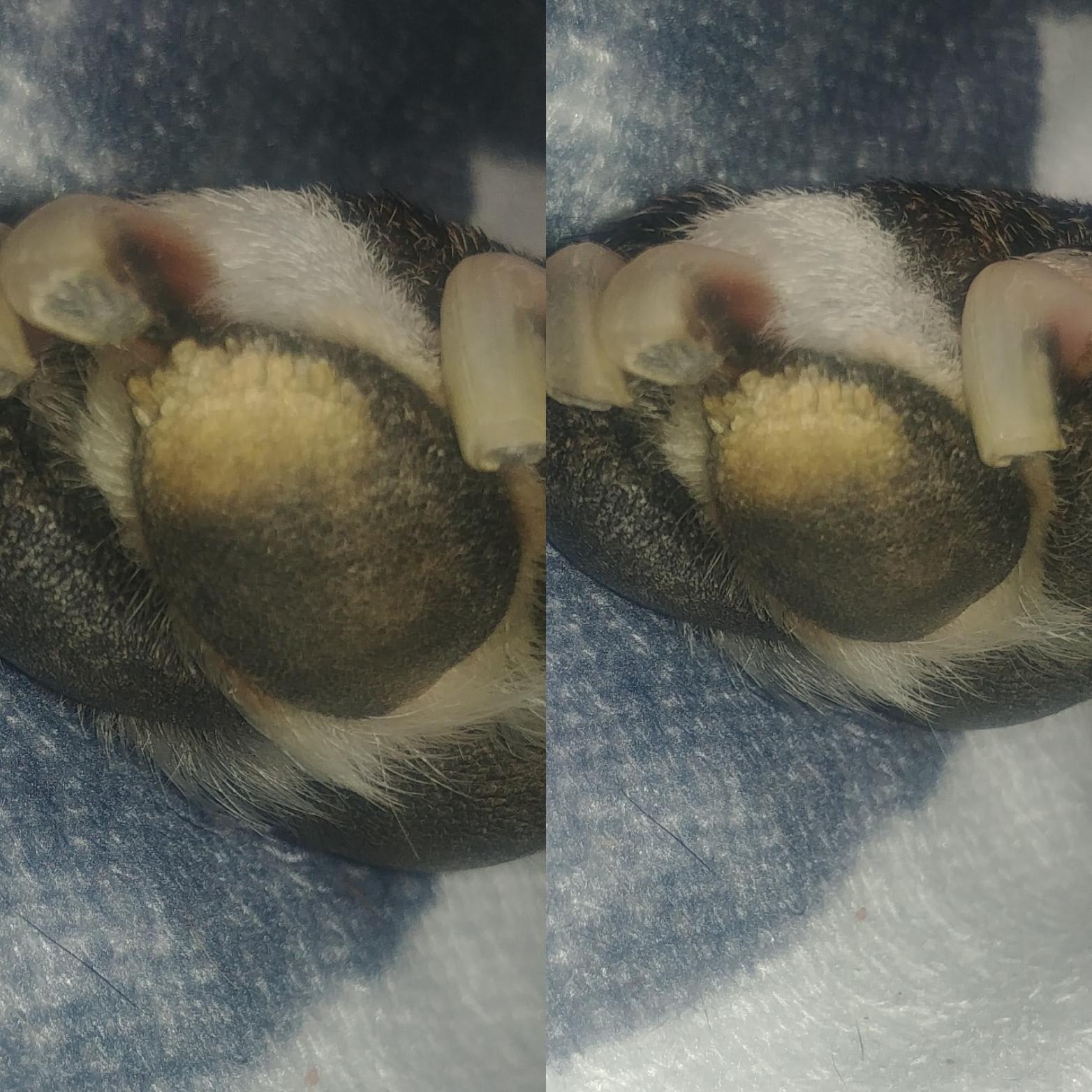 Question details sensitive content