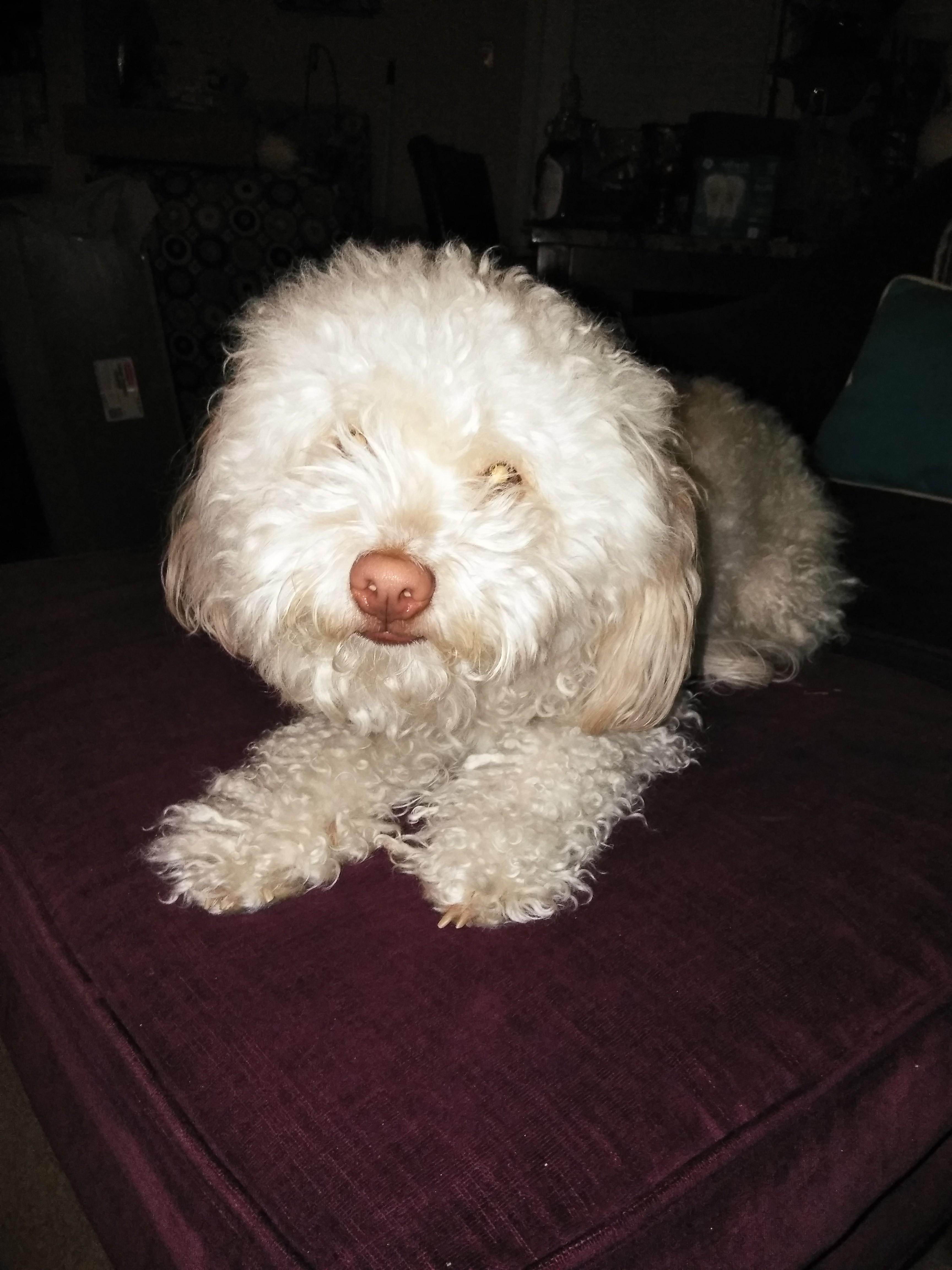 Question details sensitive content