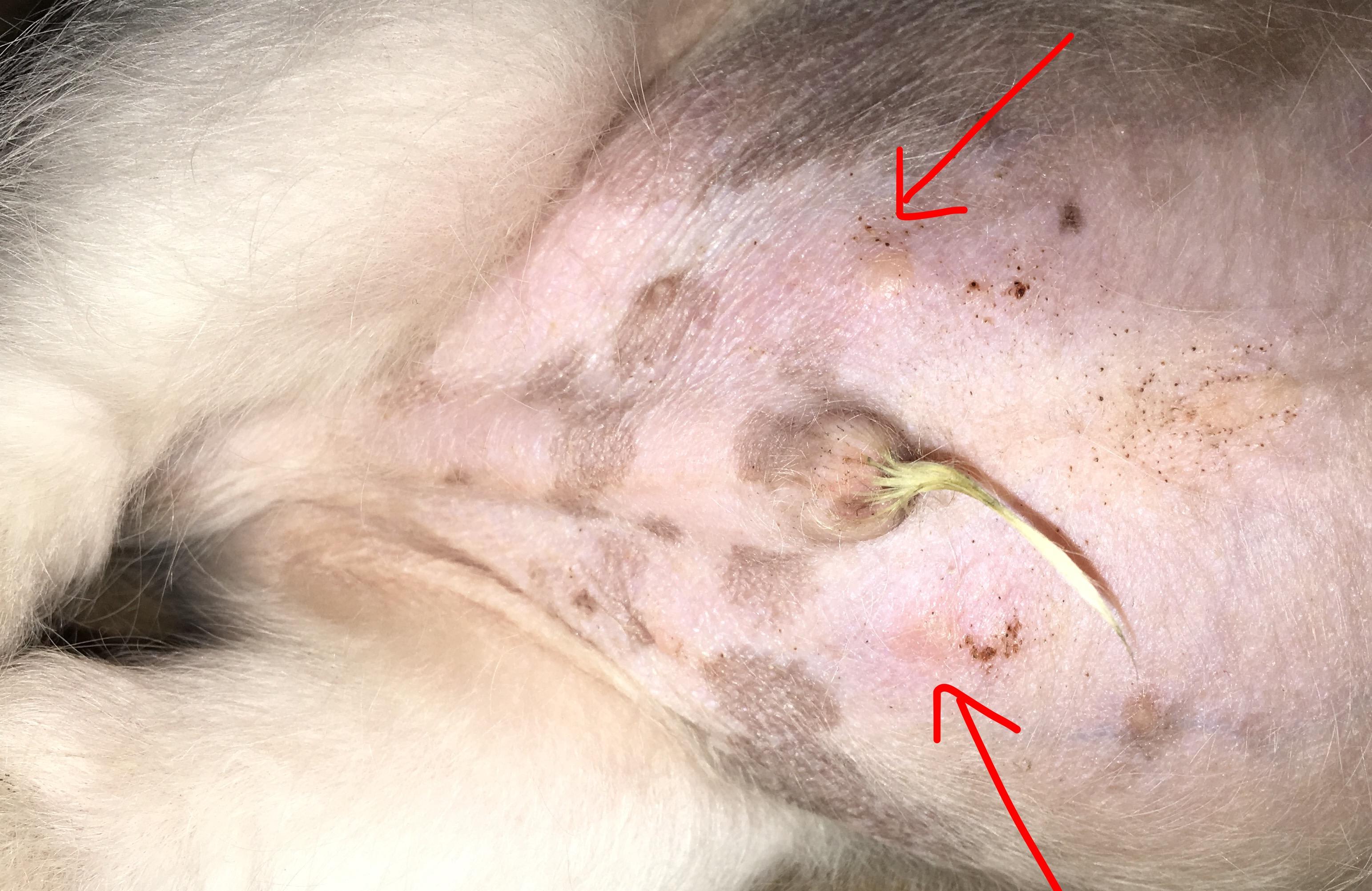 Question details sensitive content